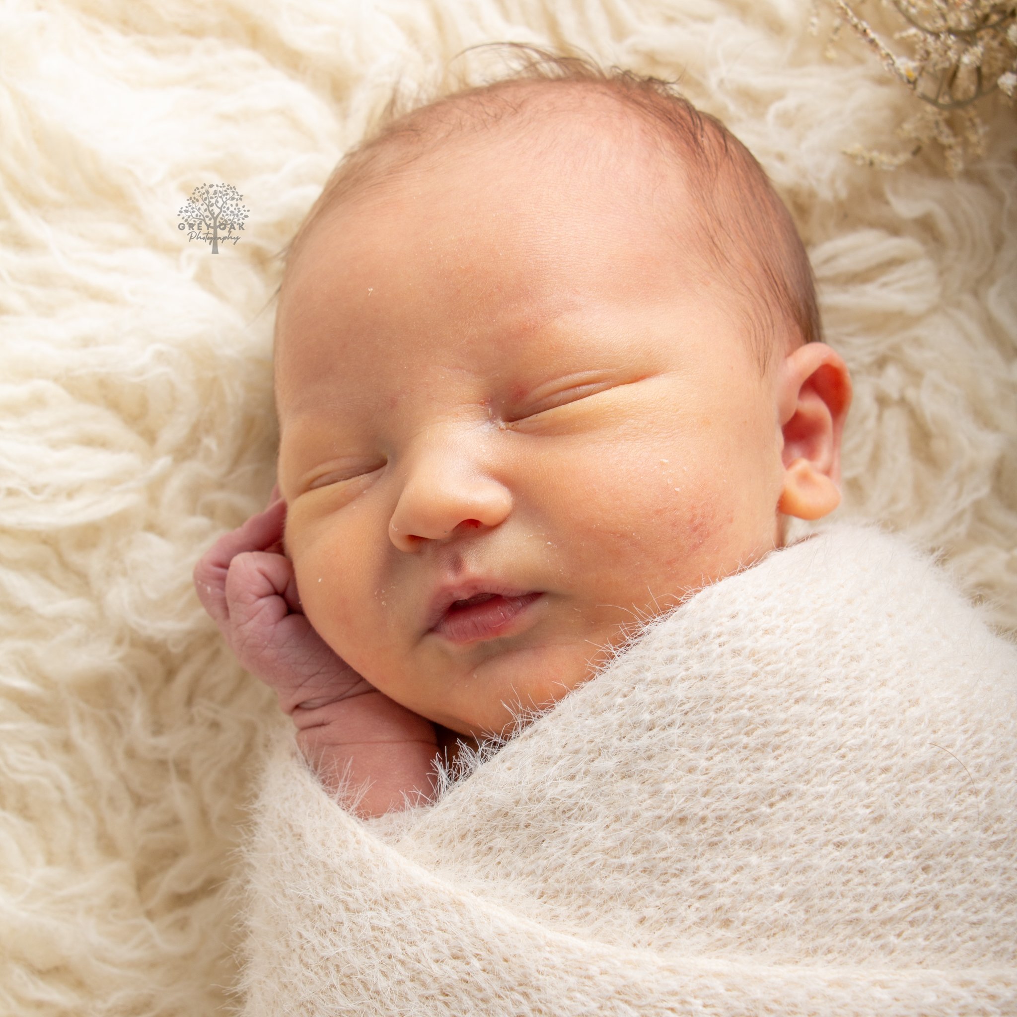 Newborn session newborn photography melbourne montmorency 