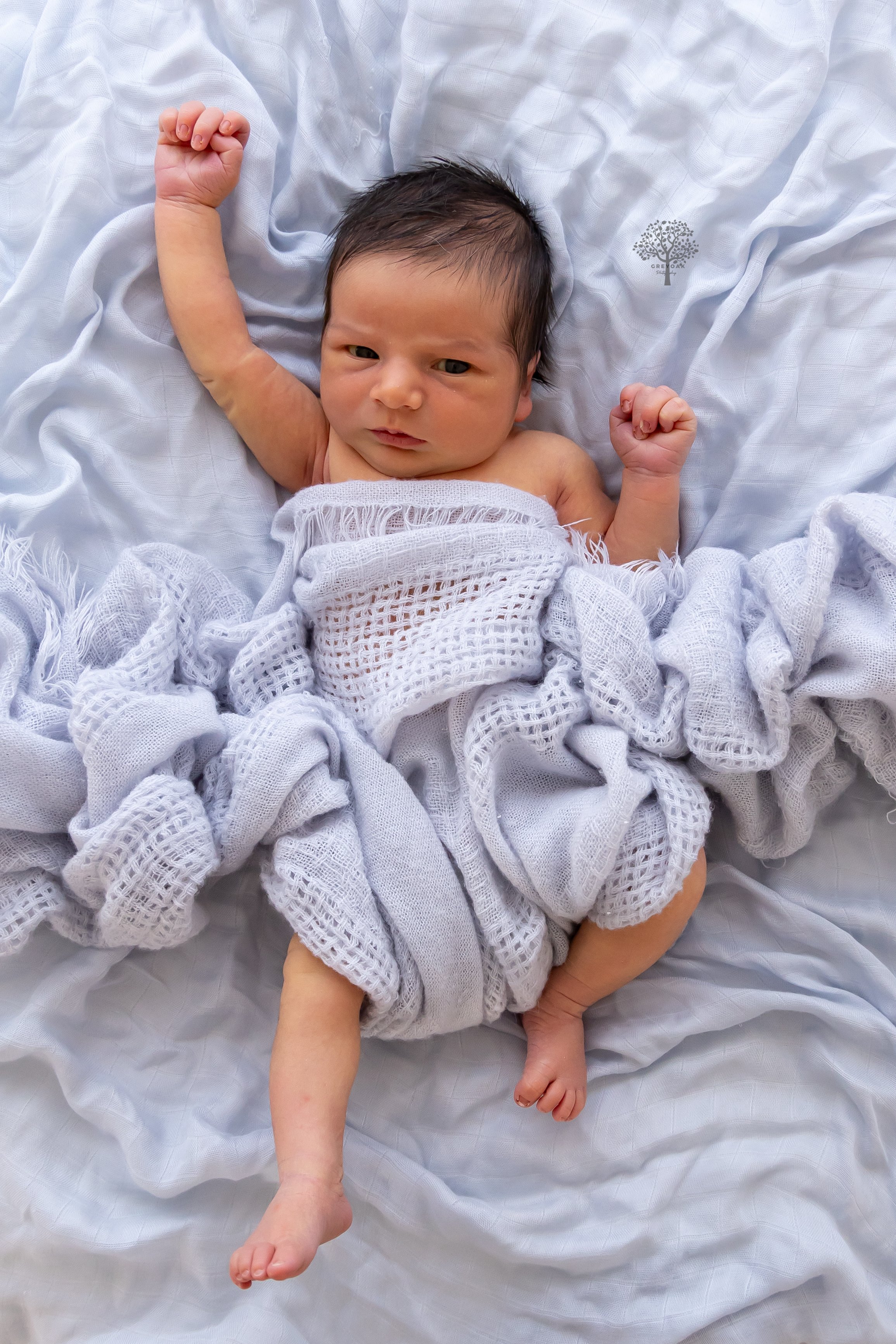 Melbourne newborn session Photographer Photography Montmorency