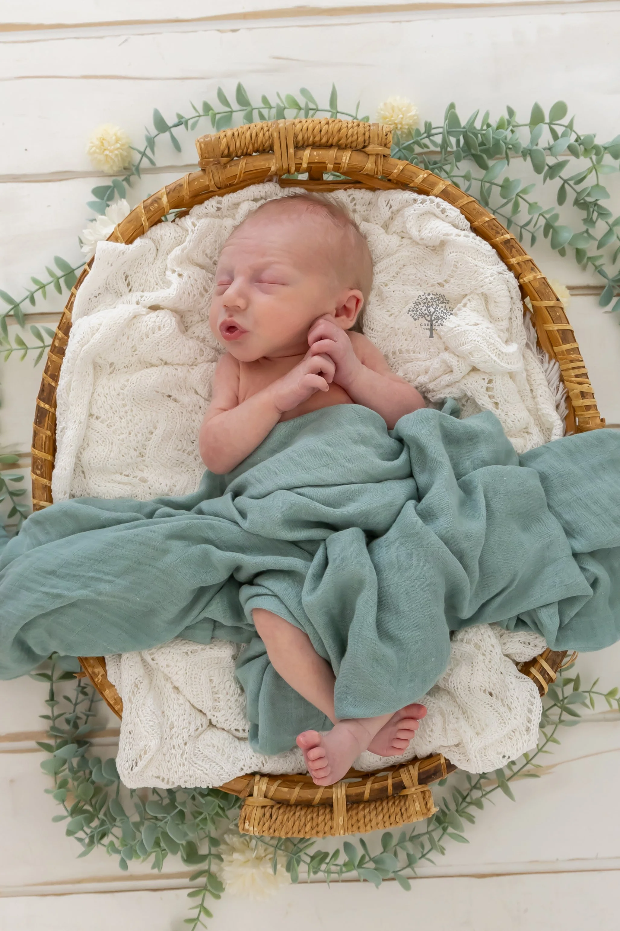 Melbourne newborn session Photographer Photography Montmorency