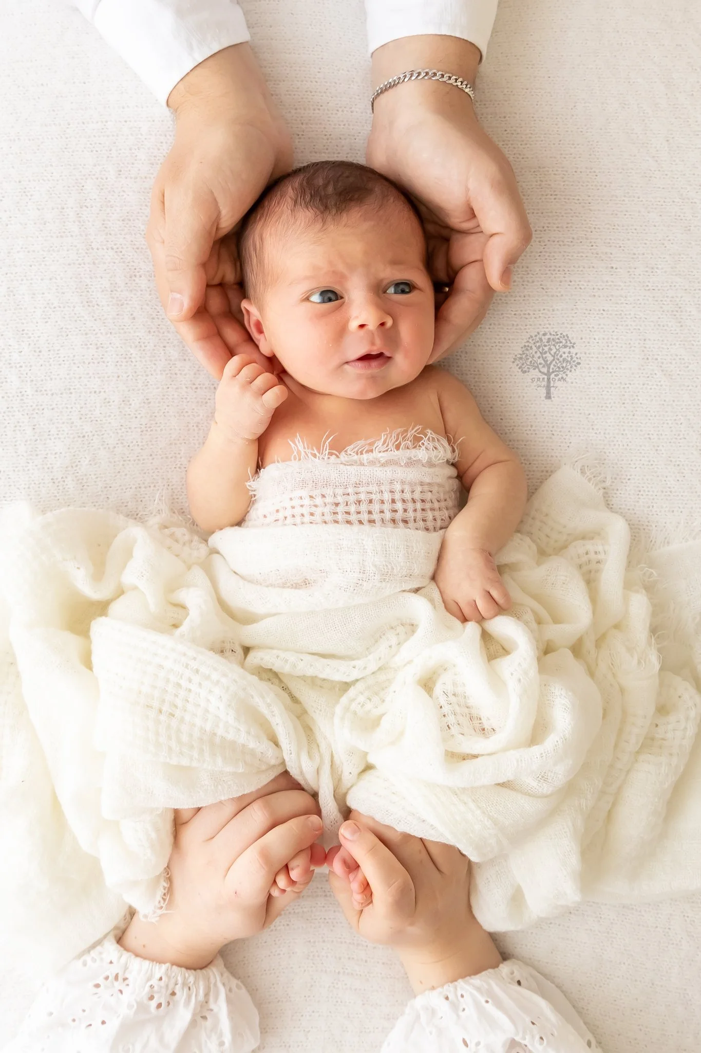 Melbourne newborn session Photographer Photography Montmorency