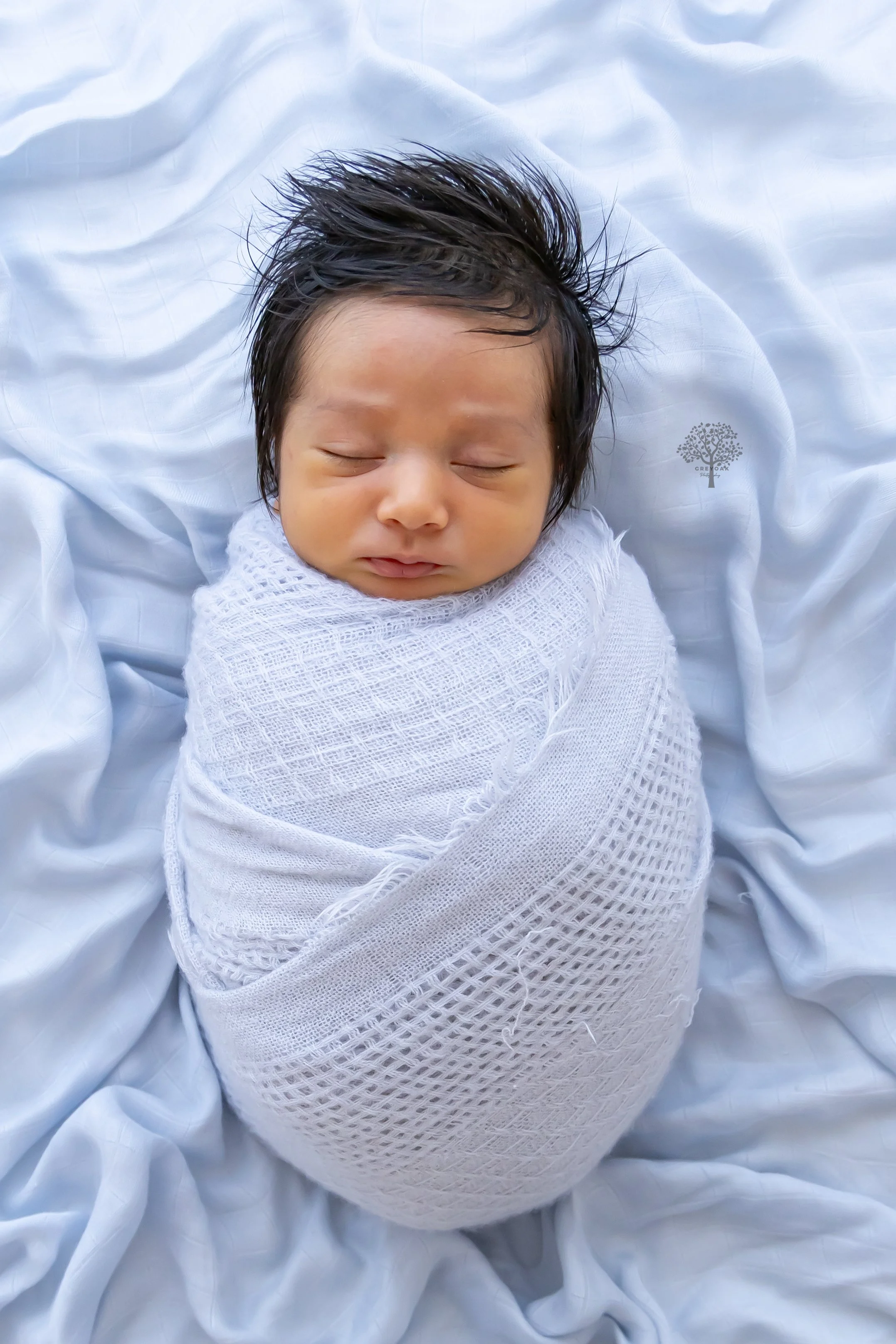 Melbourne newborn session Photographer Photography Montmorency