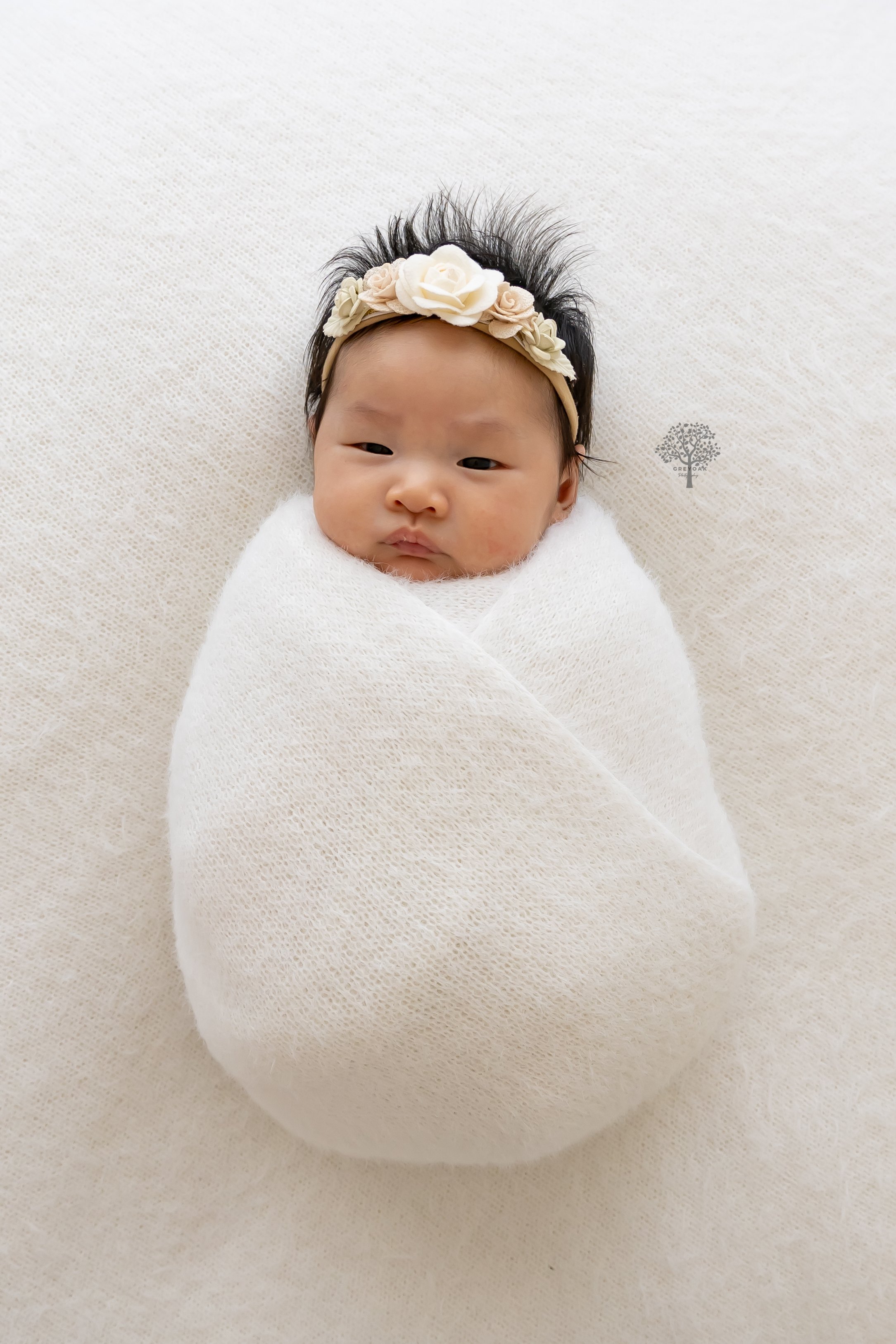 Melbourne newborn session Photographer Photography Montmorency