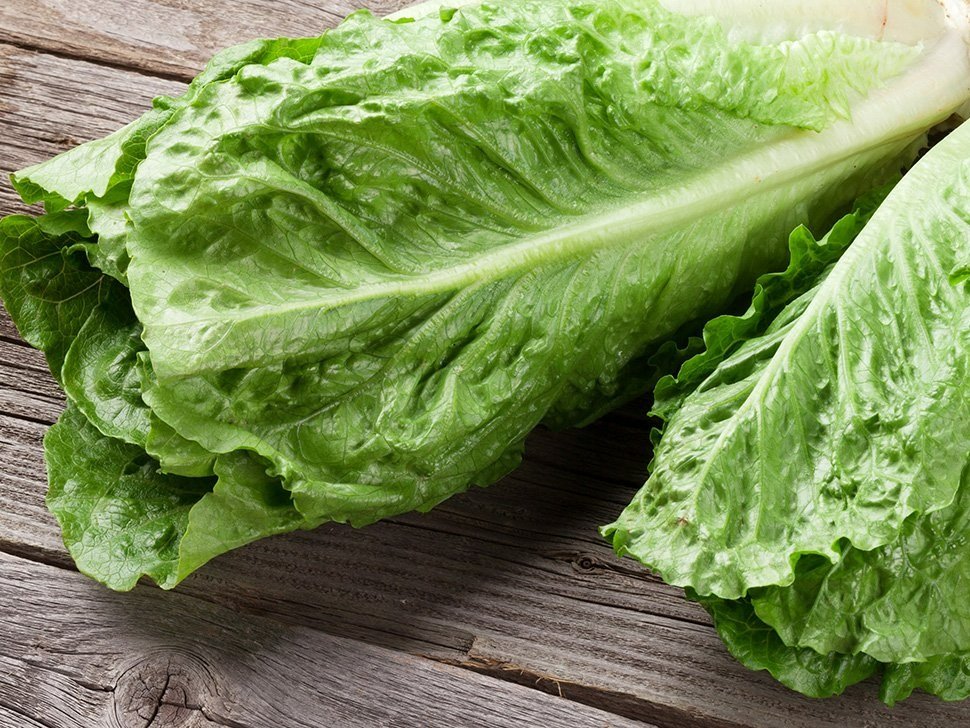 romaine-lettuce-1296x728-body.jpg