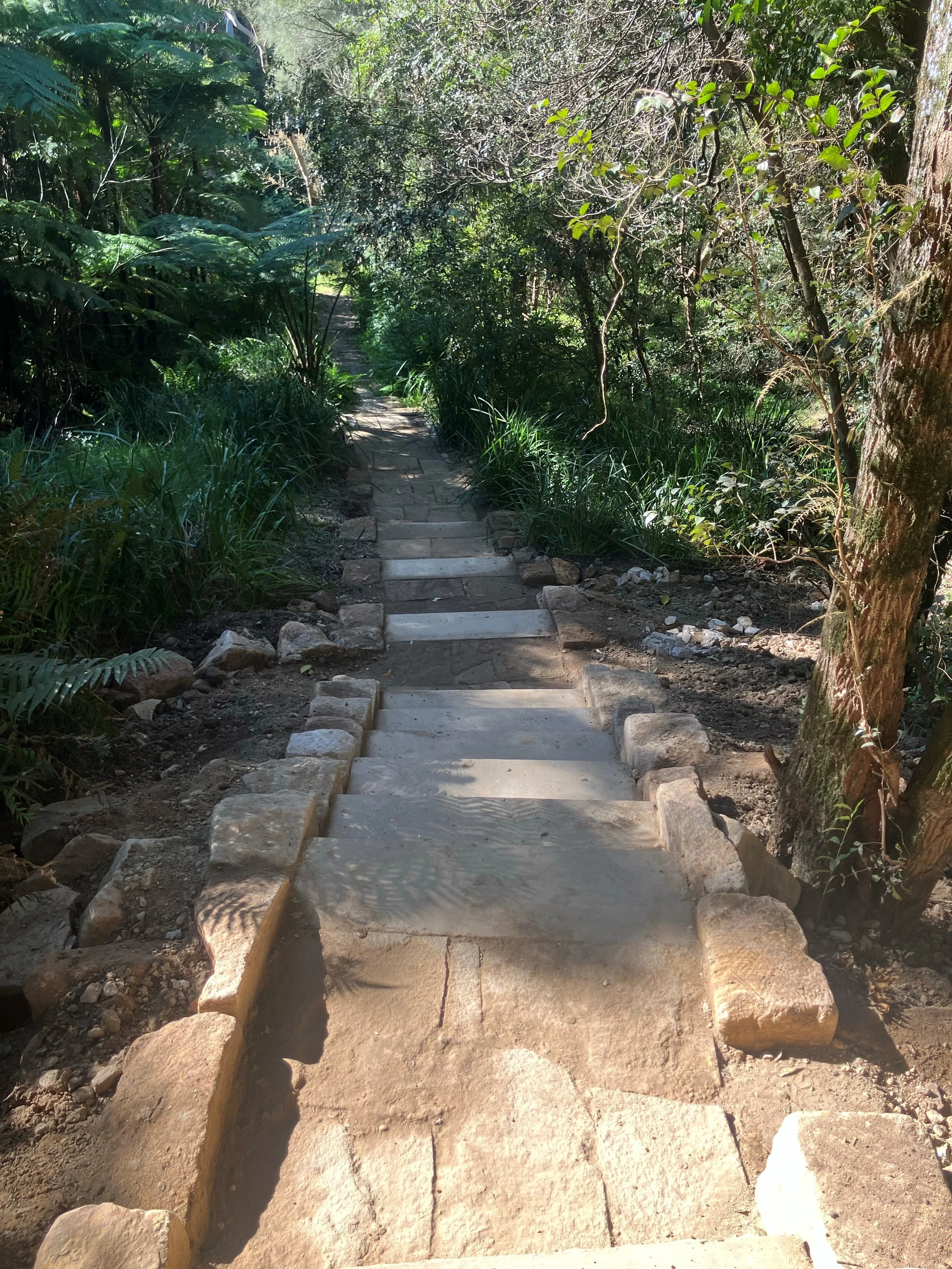 Part of the completed track at Backhousia Reserve, Parramatta Council. An incredible result from one of our track teams.
