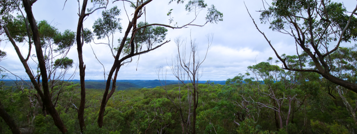 Popran National Park, Central Coast