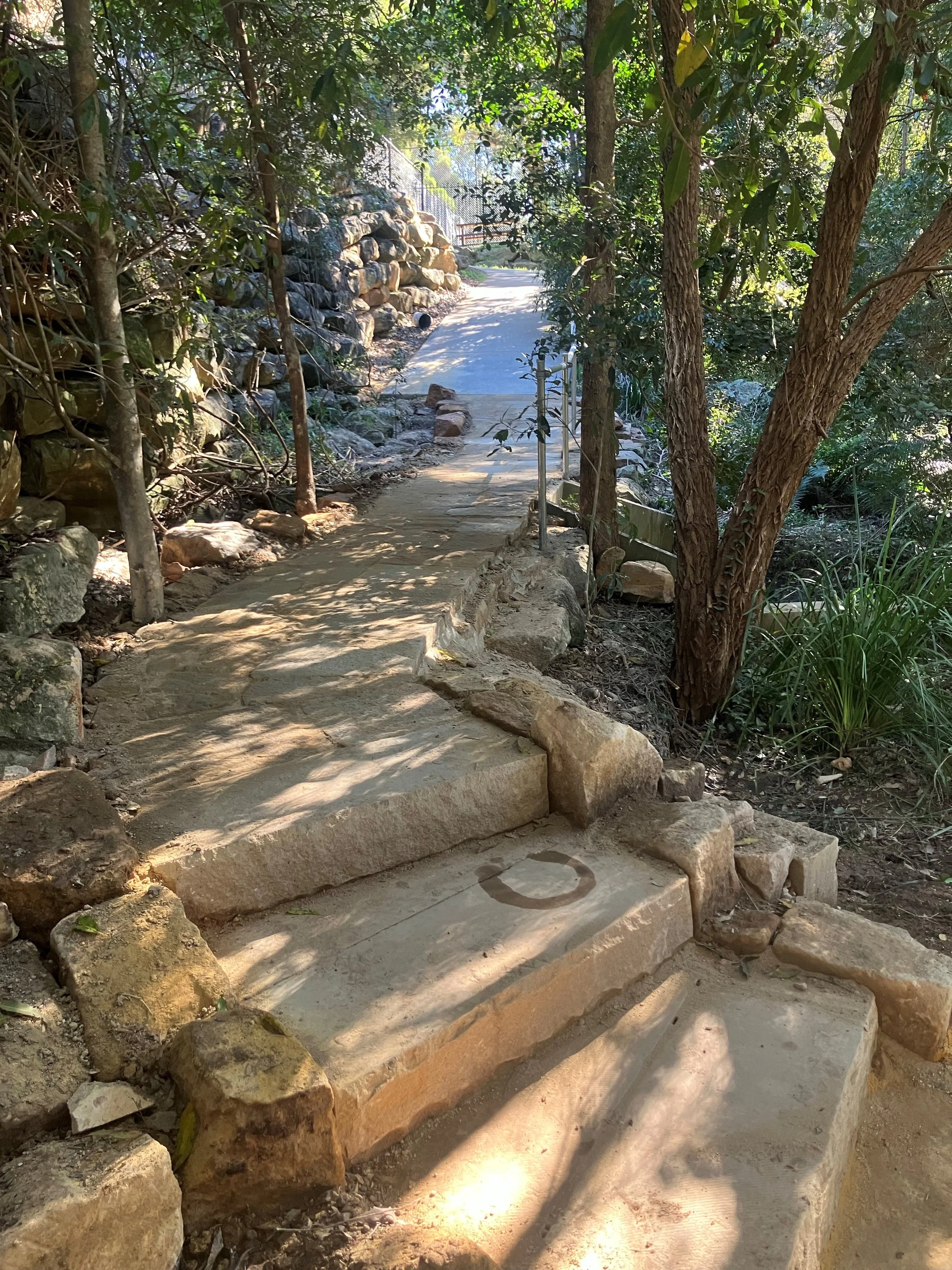 Backhousia Reserve Track project for Parramatta Council.