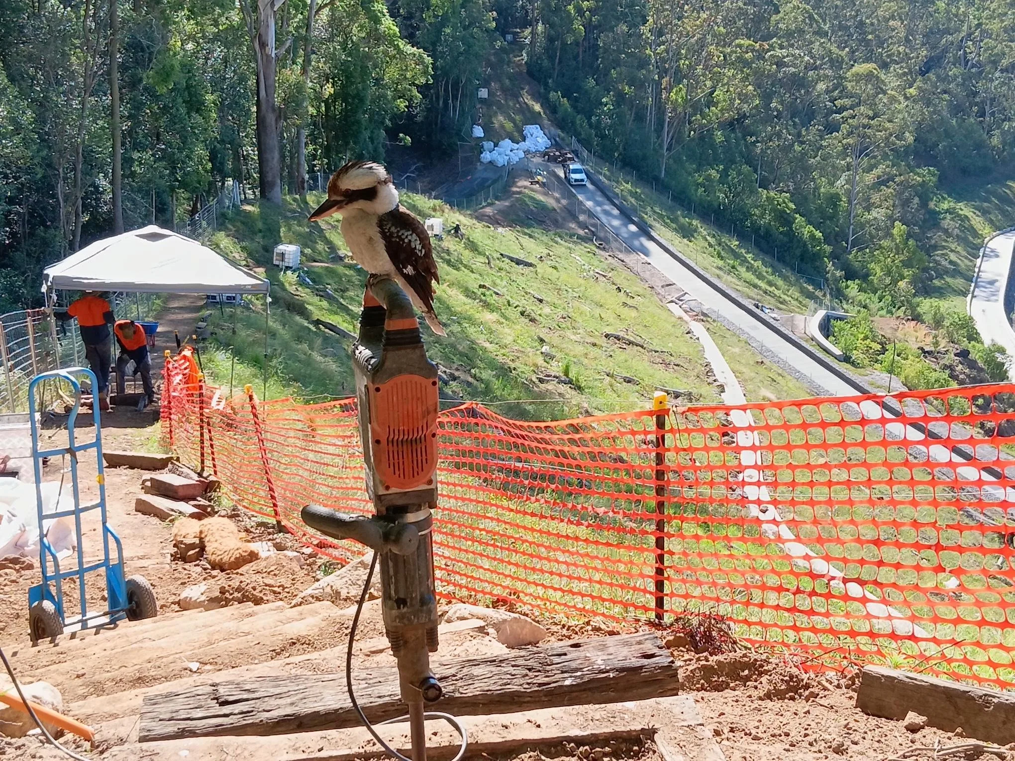 A visit from the site manager at Hornsby Quarry.