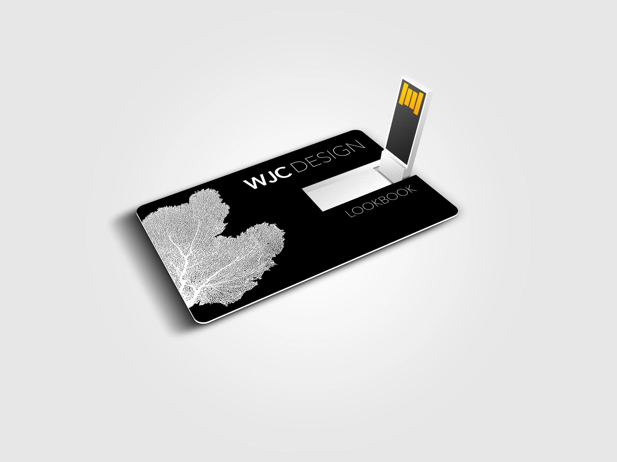 usb flashdisk mockups.jpg