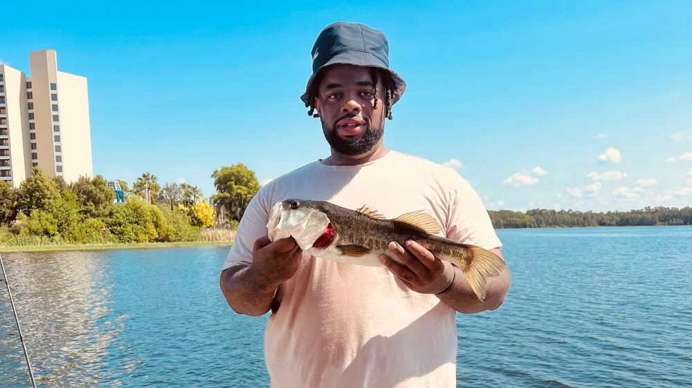 Contact — David Lucas