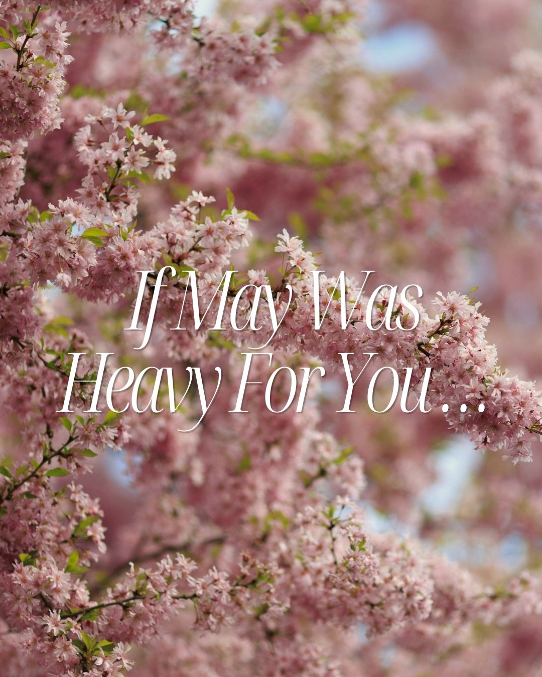 As May comes to a close, maybe you&rsquo;re realizing how far you&rsquo;ve come&hellip; even if it doesn&rsquo;t feel dramatic.

Healing often looks quieter than we expect.
It looks like showing up again.
Trying again.
Laughing again.
Trusting God on