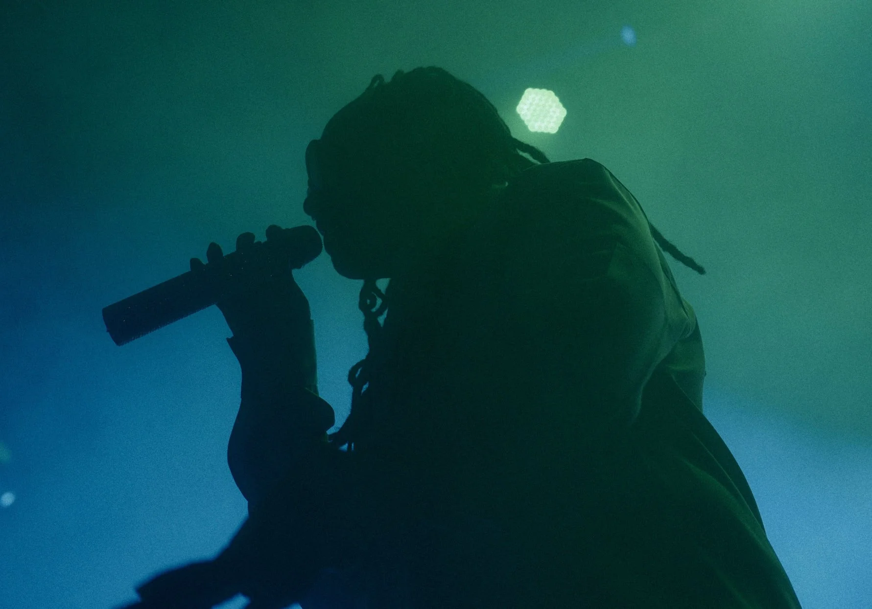 GABRIEL KANAE - Ty Dolla $ign- Green - Sep 01 2023 - 20-25-41 -Copyright © 2024 Gabriel Kanae. All rights reserved..jpg