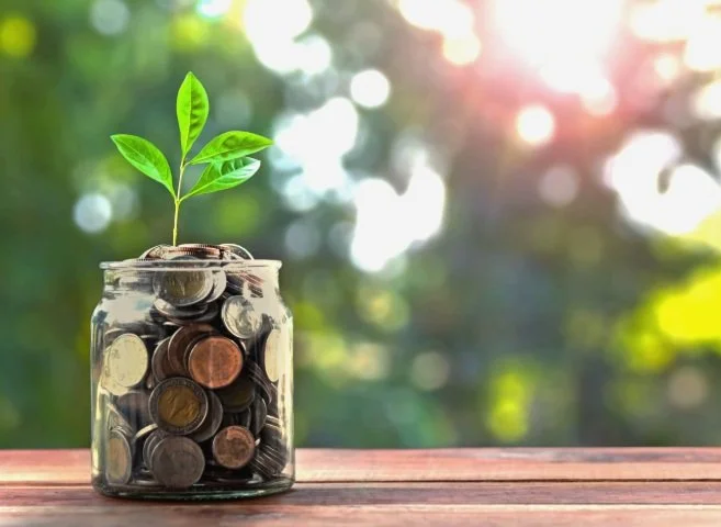 A glass jar filled with coins, with a small green plant growing from the top, placed on a wooden surface outdoors with sunlight and blurred greenery in the background.