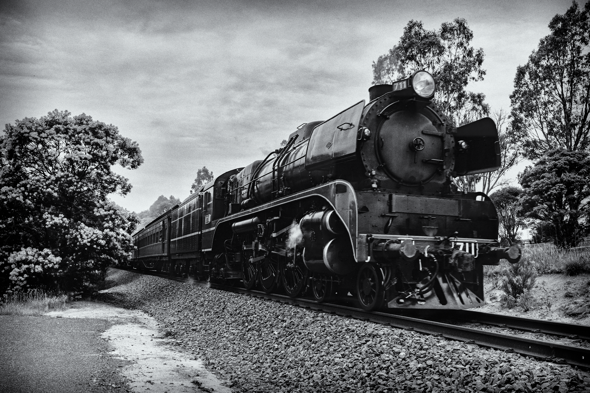 _DSC3989-Edit-Edit-Edit.png