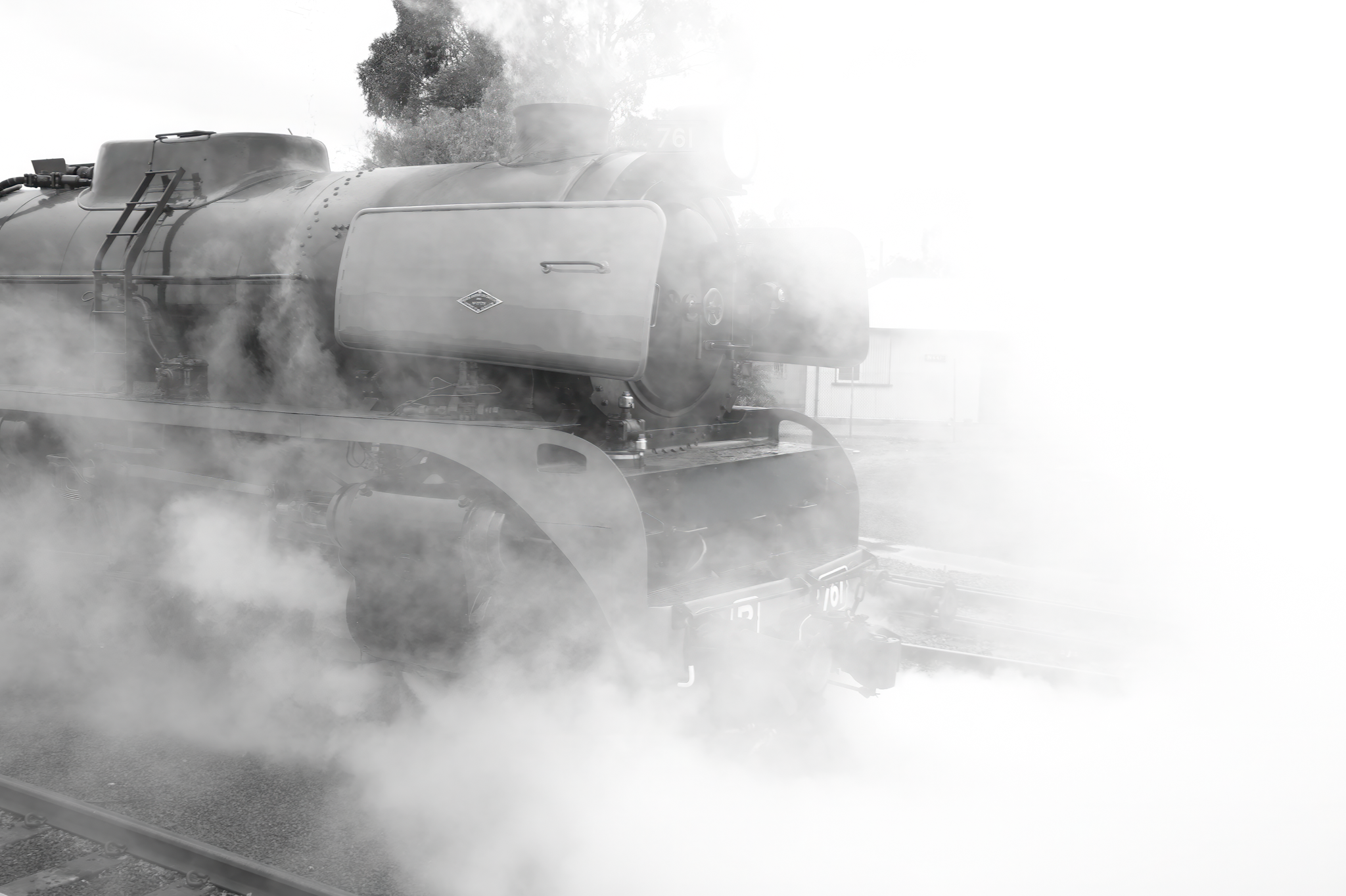 _DSF0024-Edit-2.png