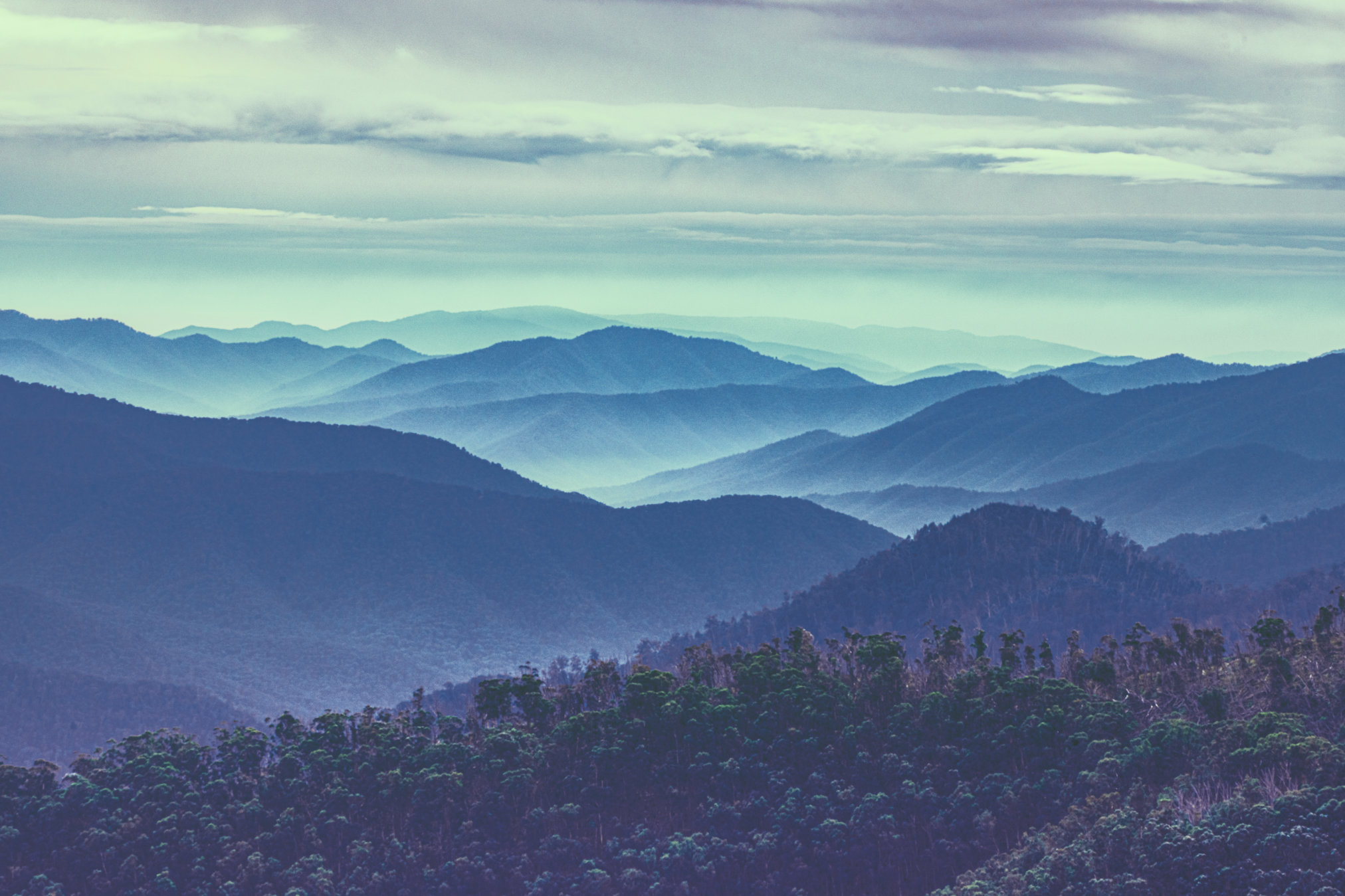 _DSC8961-Edit-Edit-Edit.png