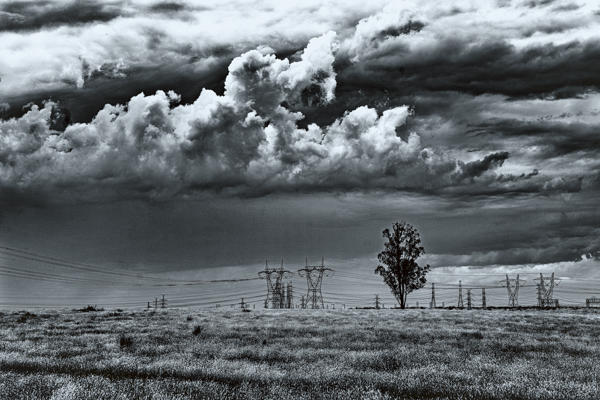 _DSC4009-Edit-2-Edit.png