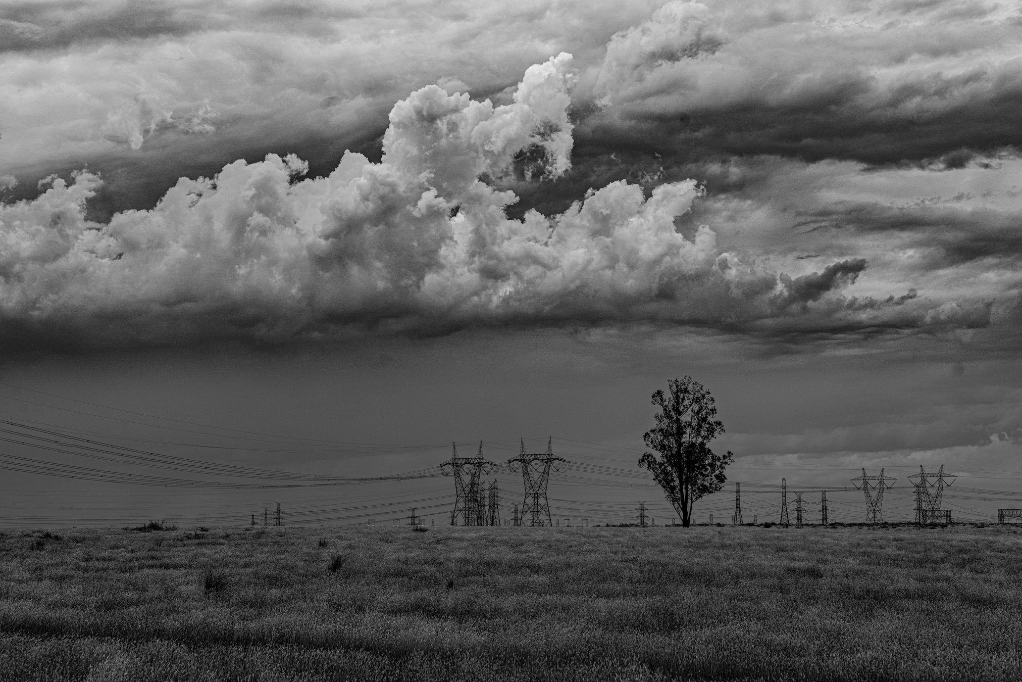 _DSC4009-Edit-Edit.png