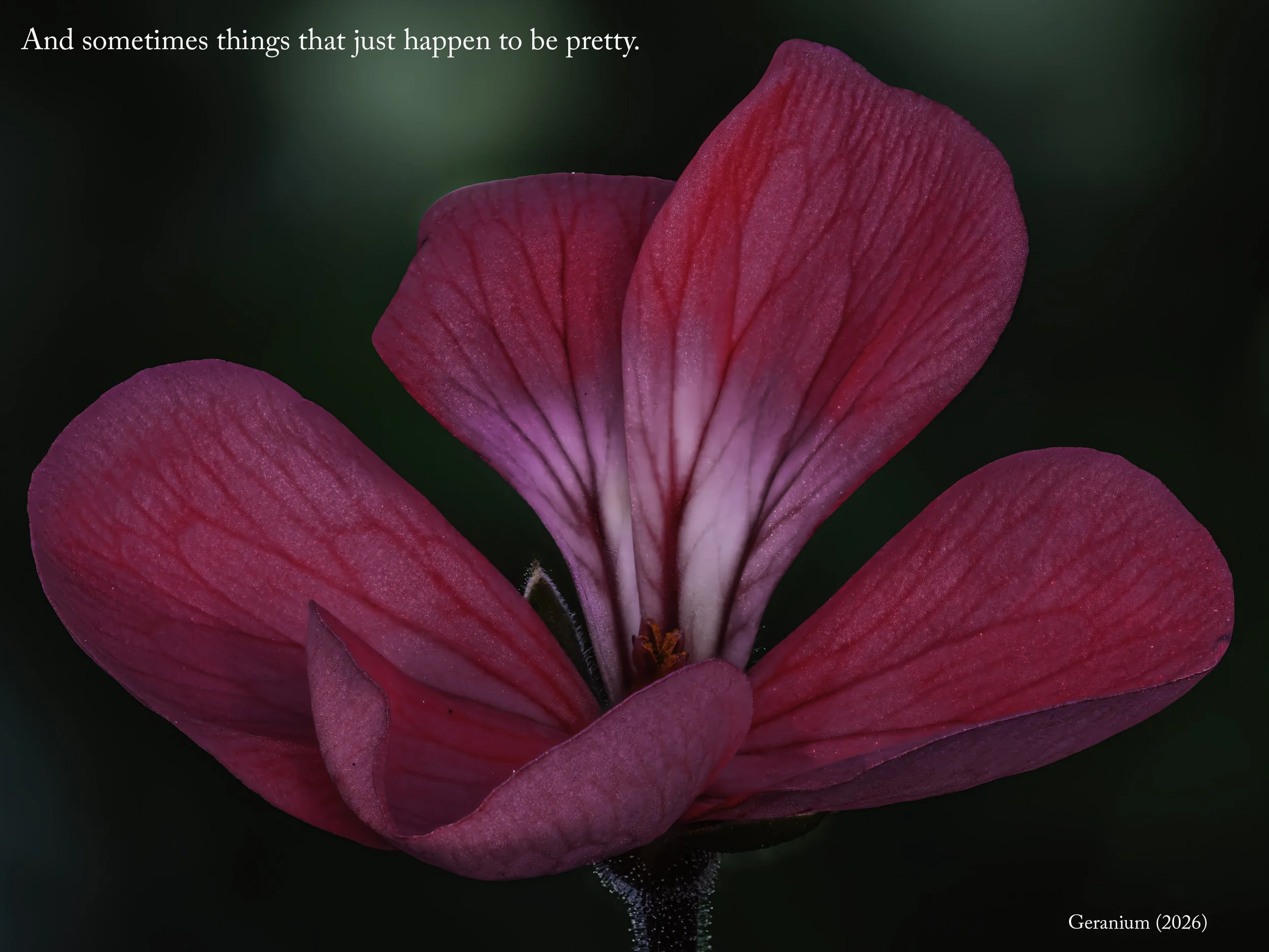 Slide 8 for Website.jpg