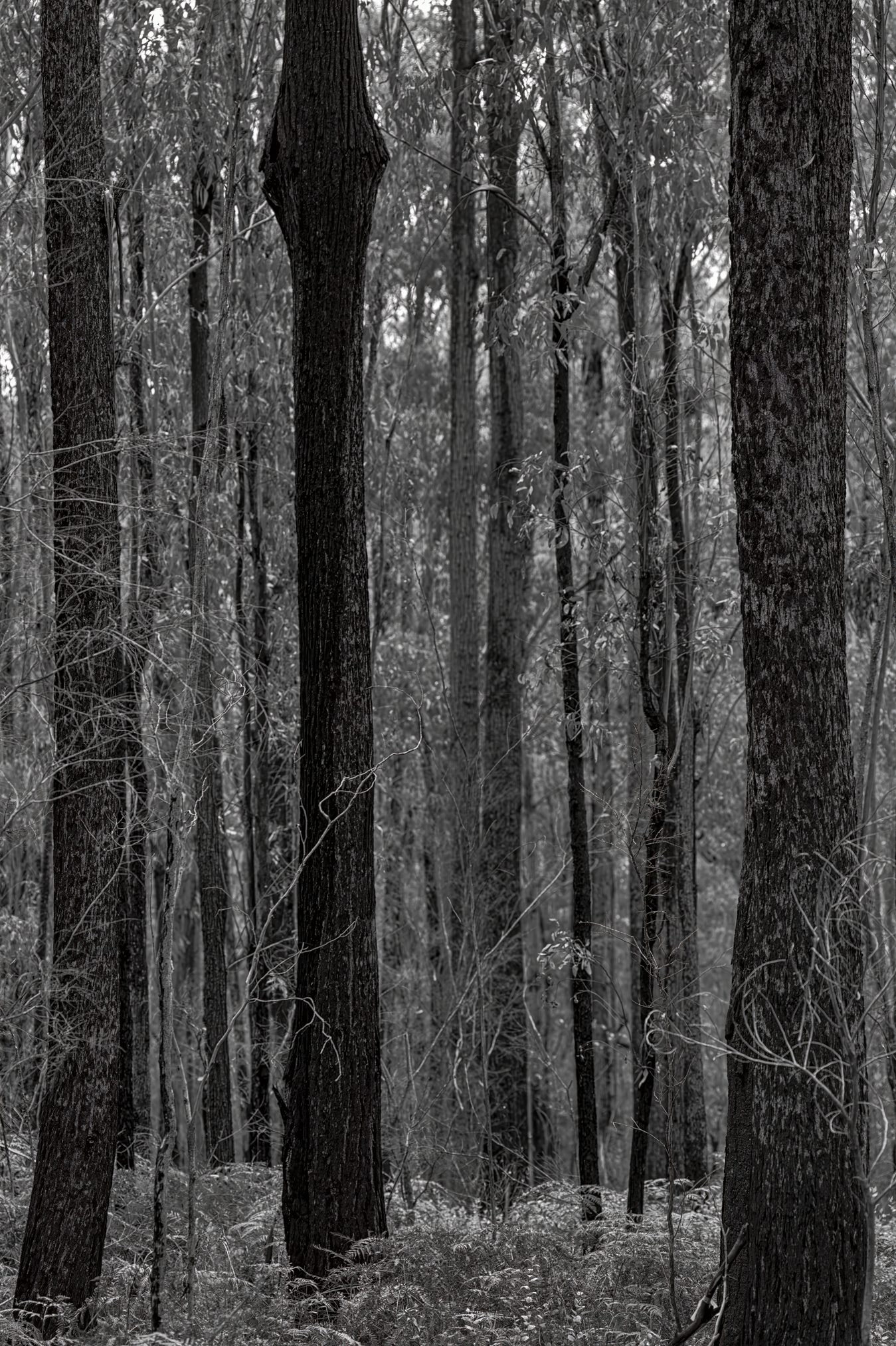 _DSC4364-Edit.png