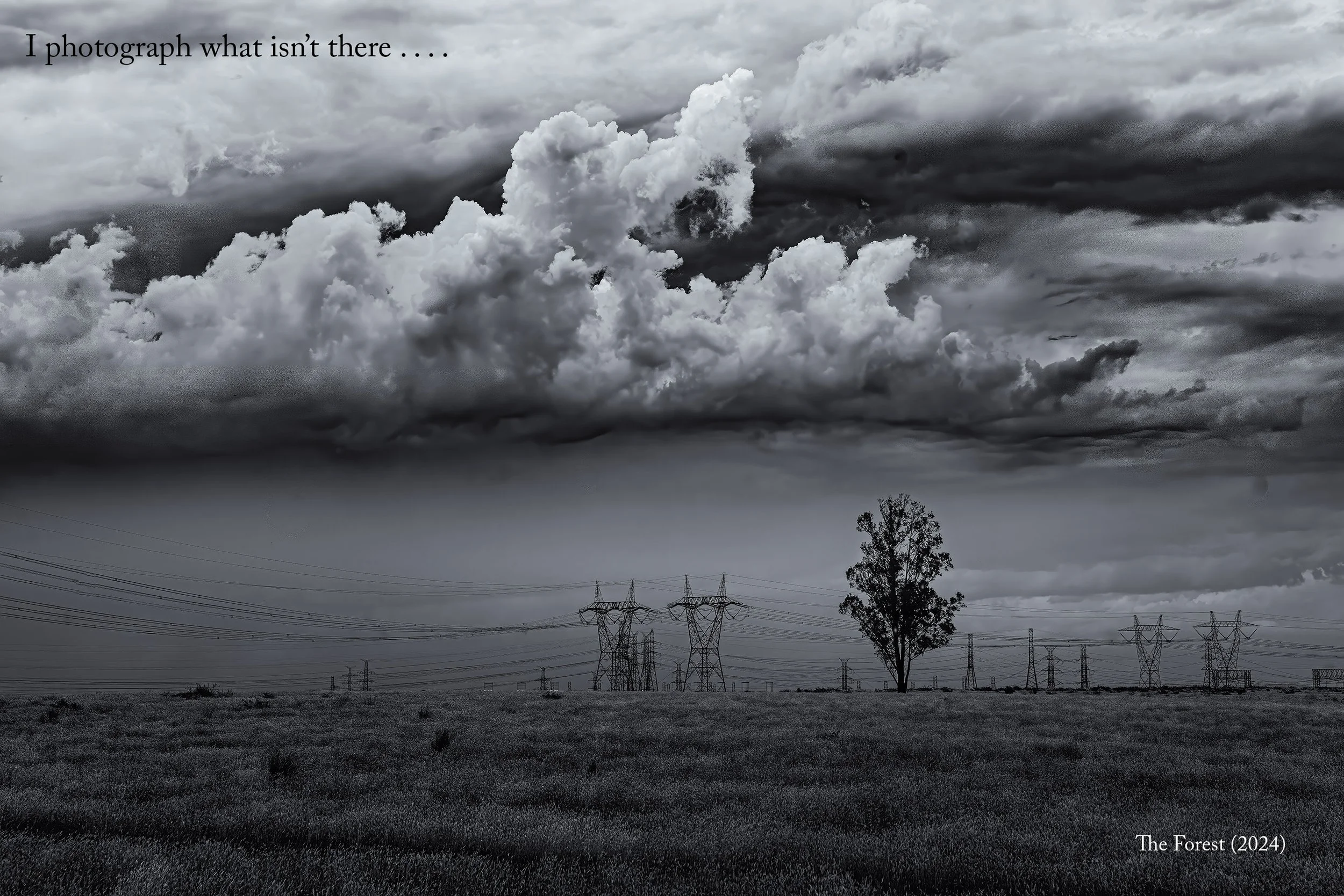 A field with a single tree and a series of power distribution pylons. The title is The Forest (2024) and the caption says I Photograph What Isn't There . . . . 
