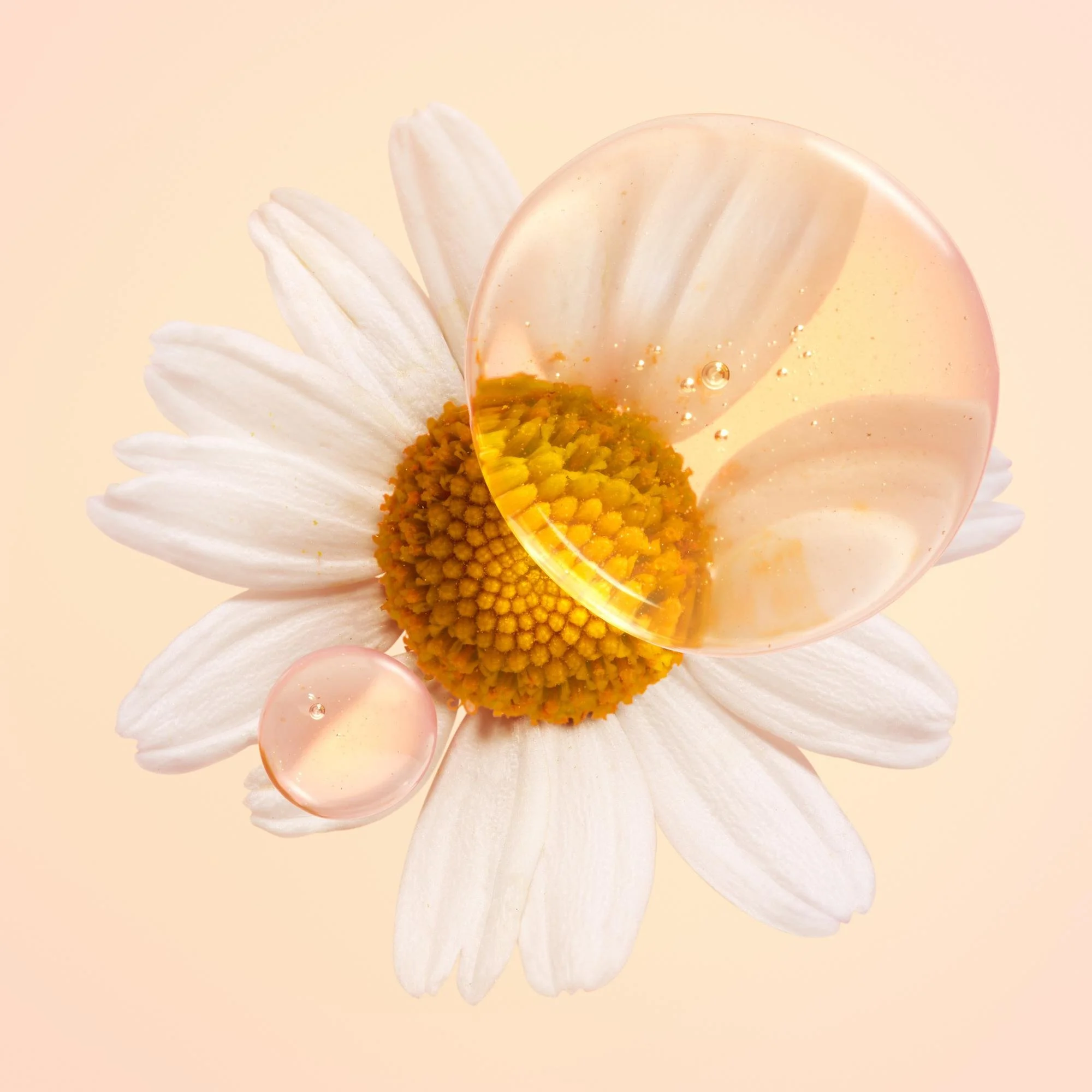 And Begin / Kellie French