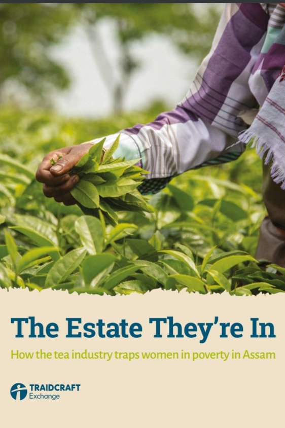 The estate they're in - Assam tea report