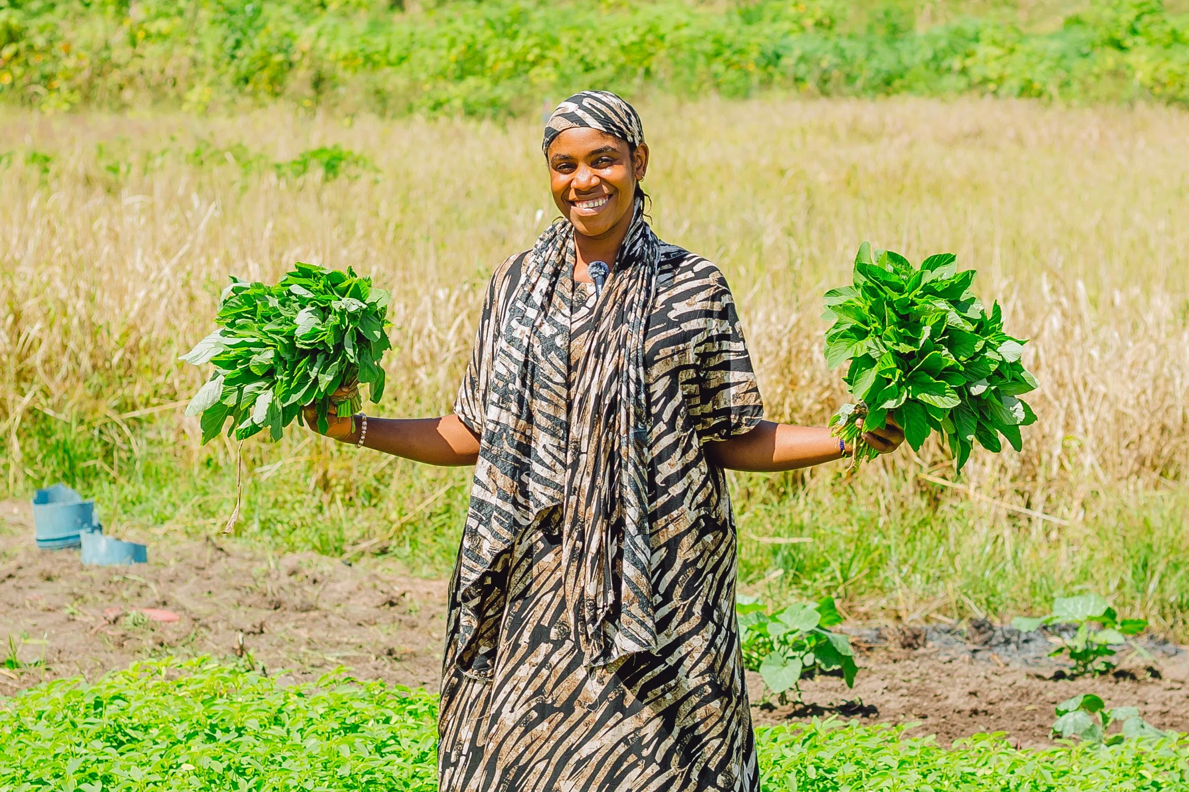 Adapting to climate change and protecting local ecosystems in Pwani region, Tanzania
