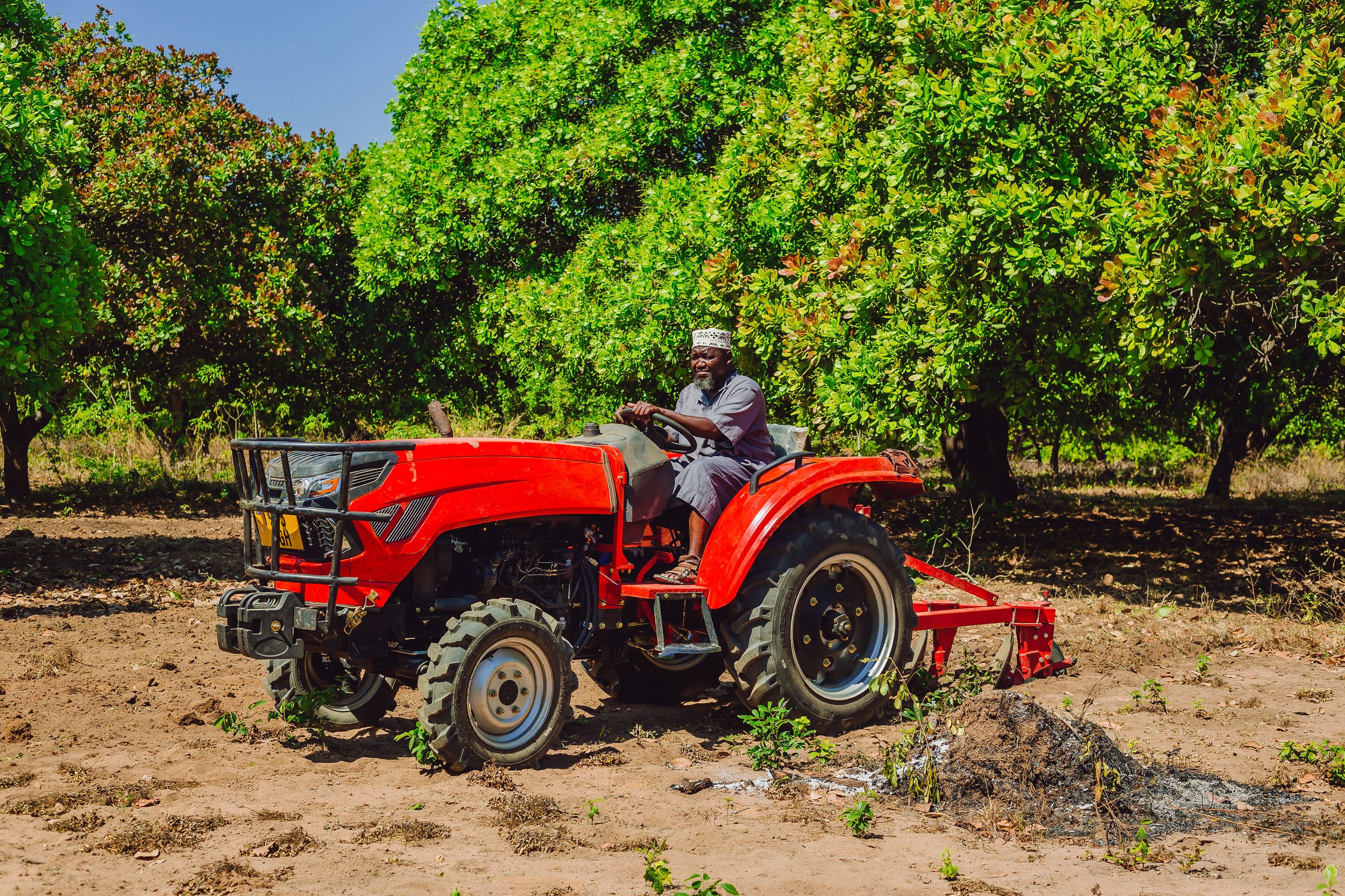 Producer-led businesses