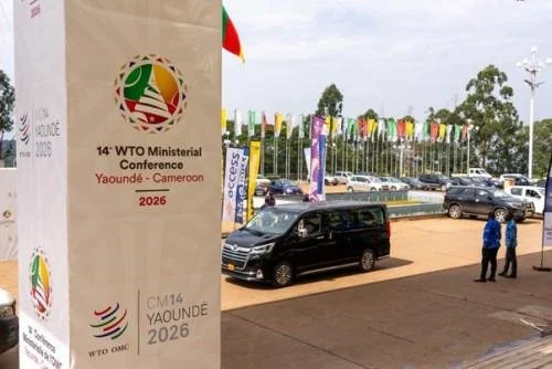 As the WTO gathers in Cameroon, there is pessimism in the air. But a fairer future is possible.&nbsp;