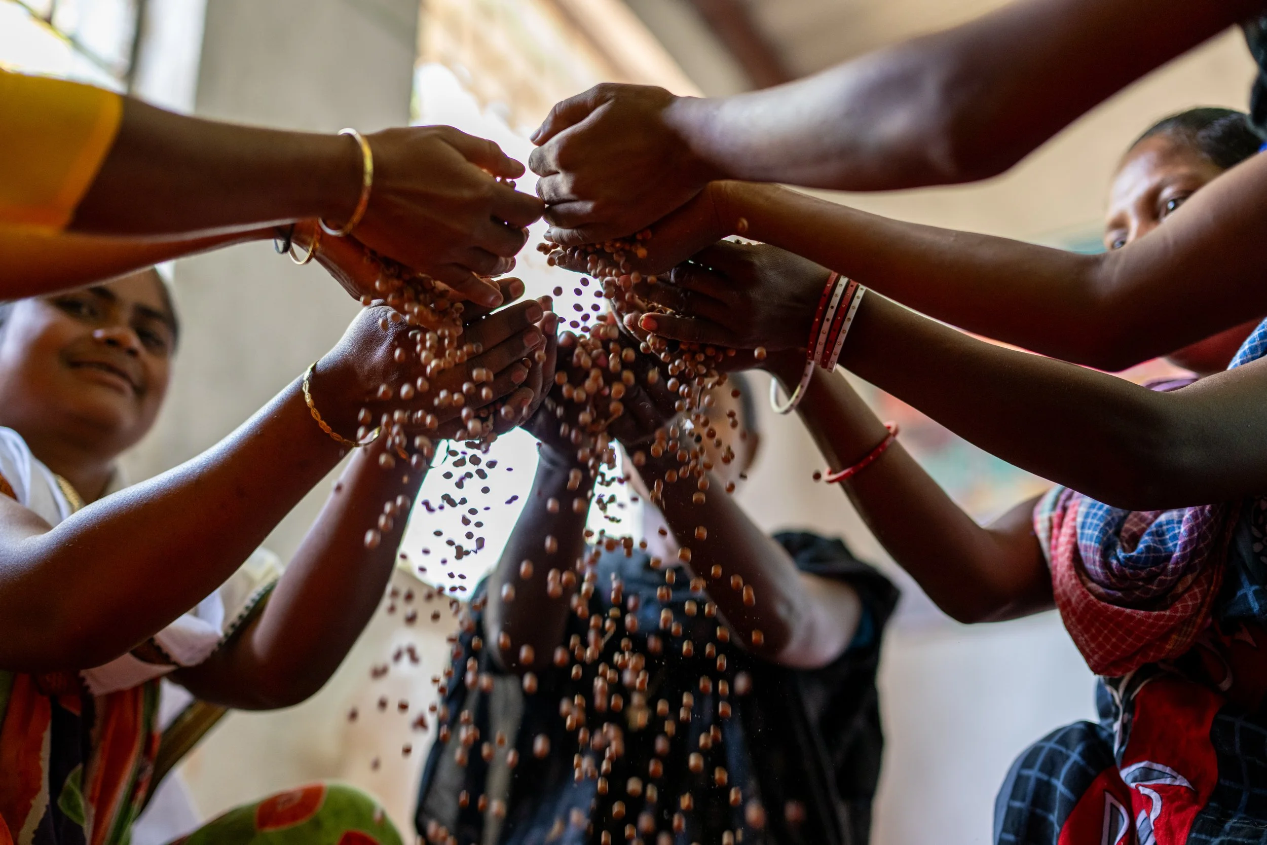 Seeds of change - building self-reliance with Pahariya communities in India