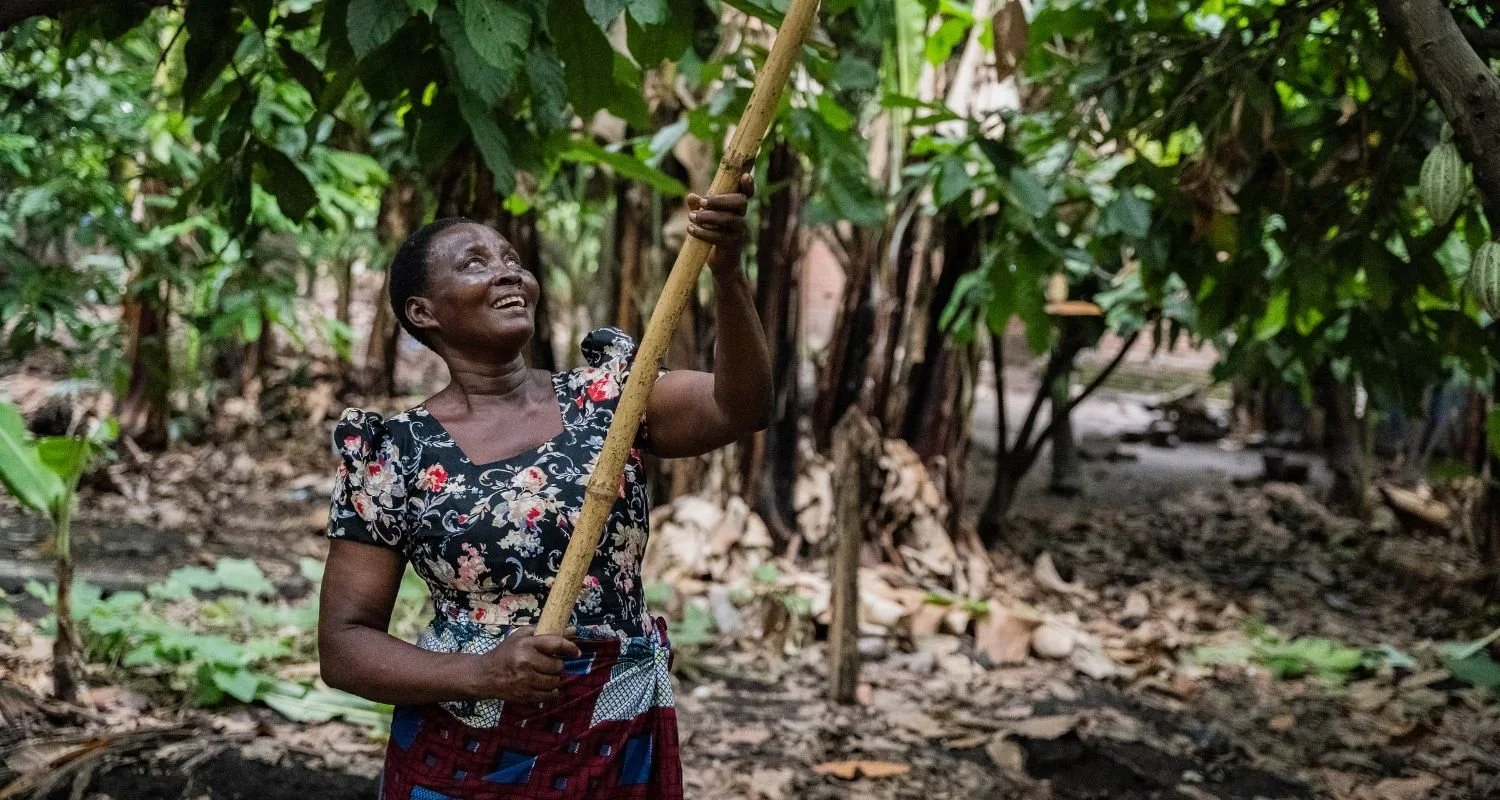 The UK’s new deforestation rules: protecting forests without harming farmers&nbsp;