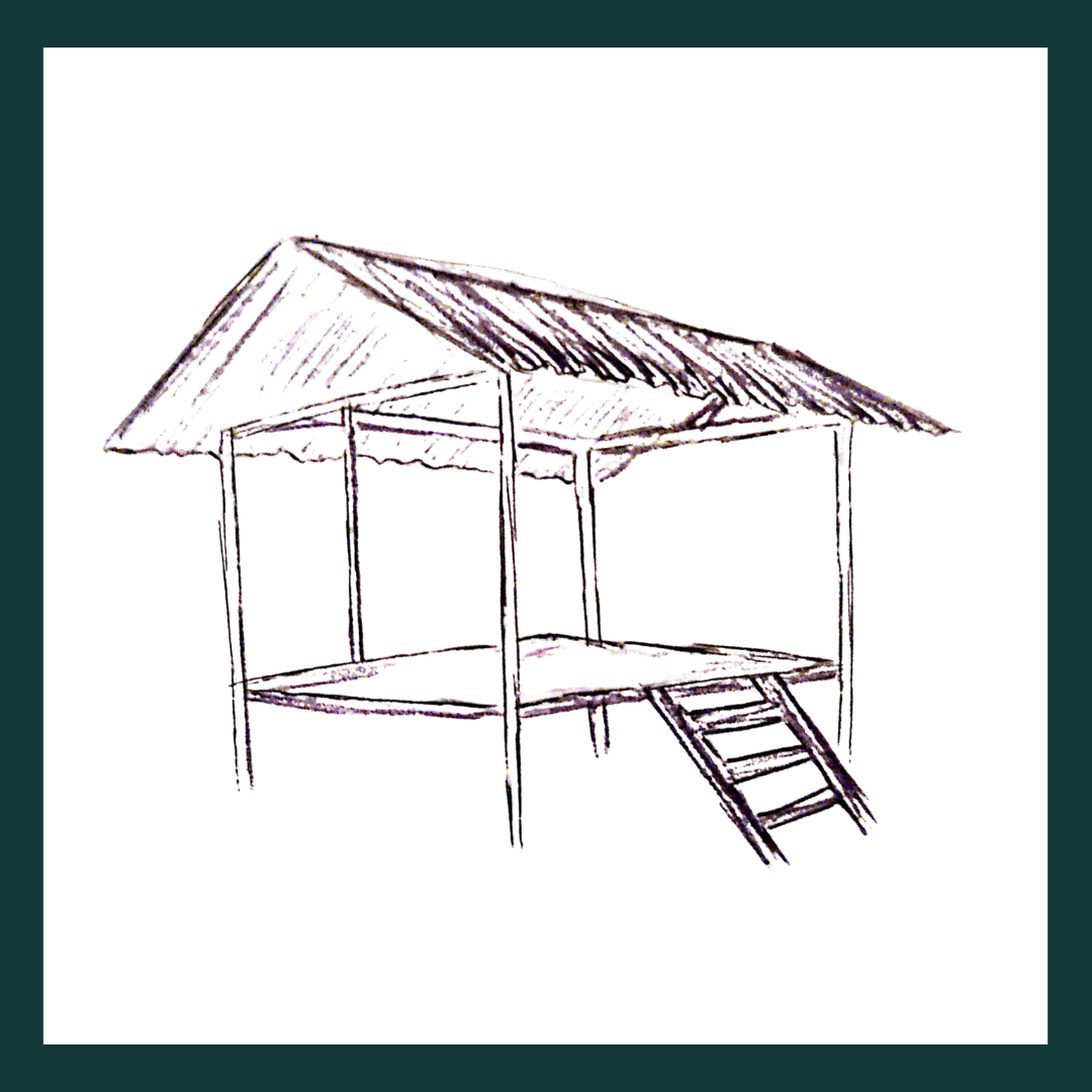 Tanzania Delicious Cashews (8).png