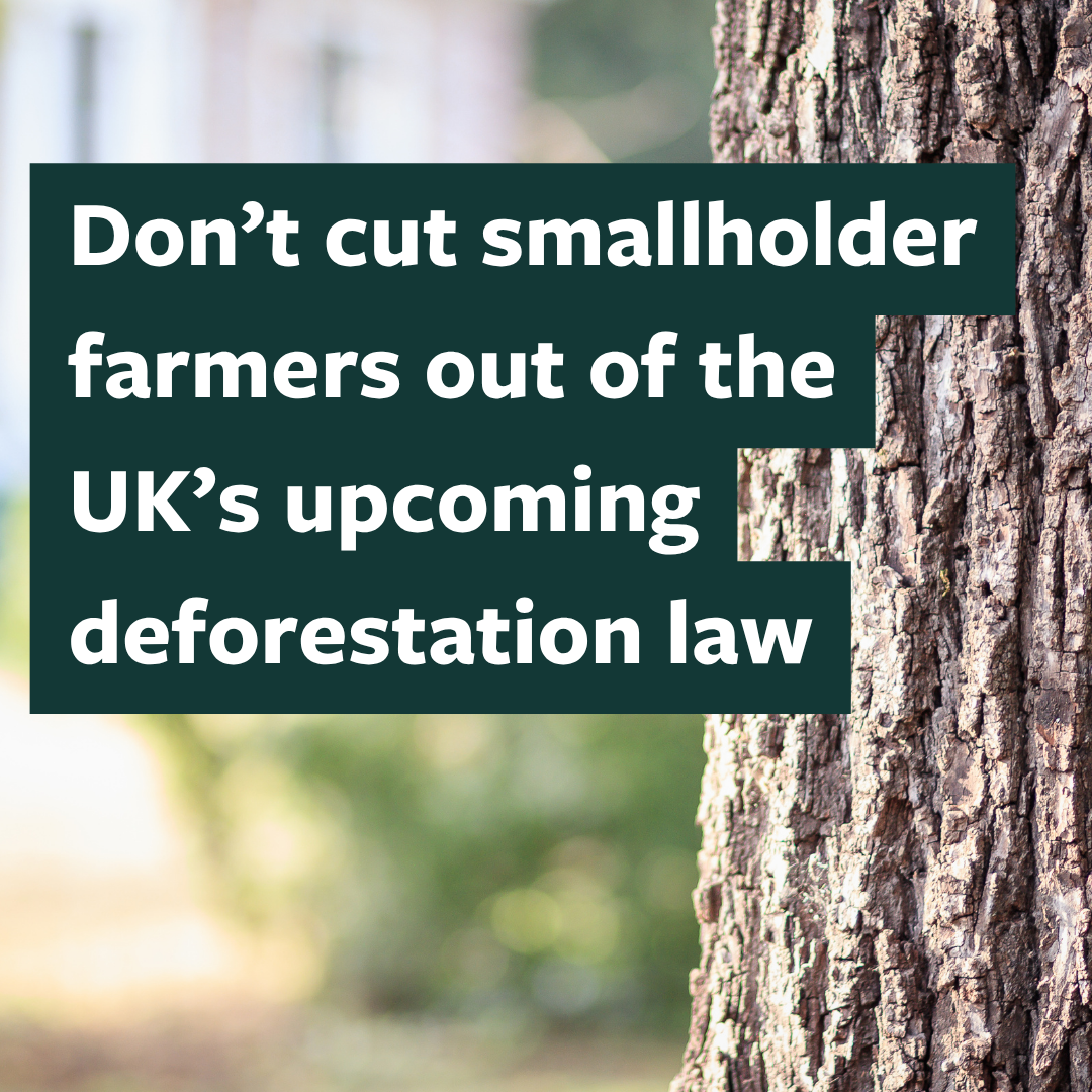 DEFORESTATION (3).png