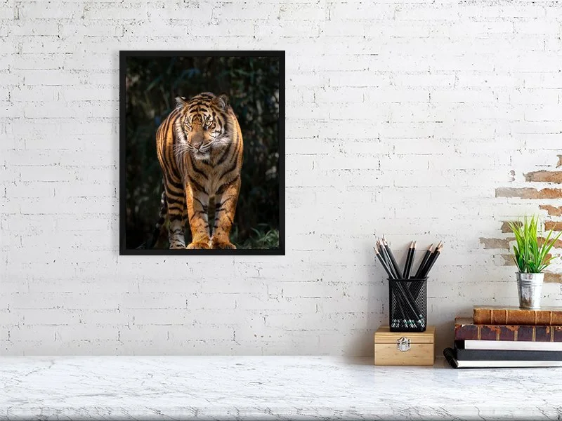 The Tiger