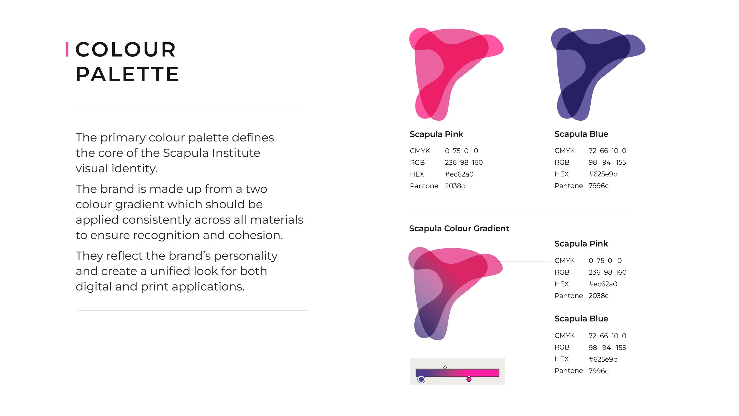 Scapular Institute for Web2.jpg