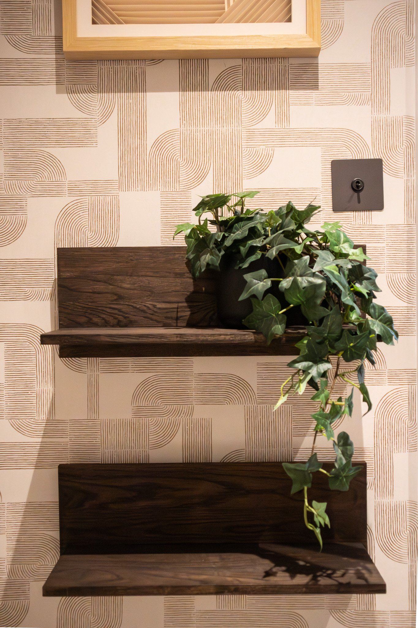 walnut shelves plant