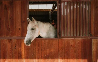 téléchargement (1).webp