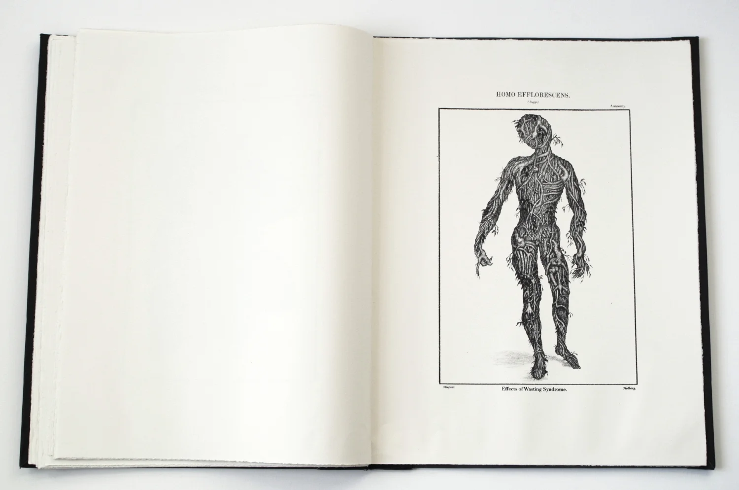 lebigre-h-e-book21b.JPG
