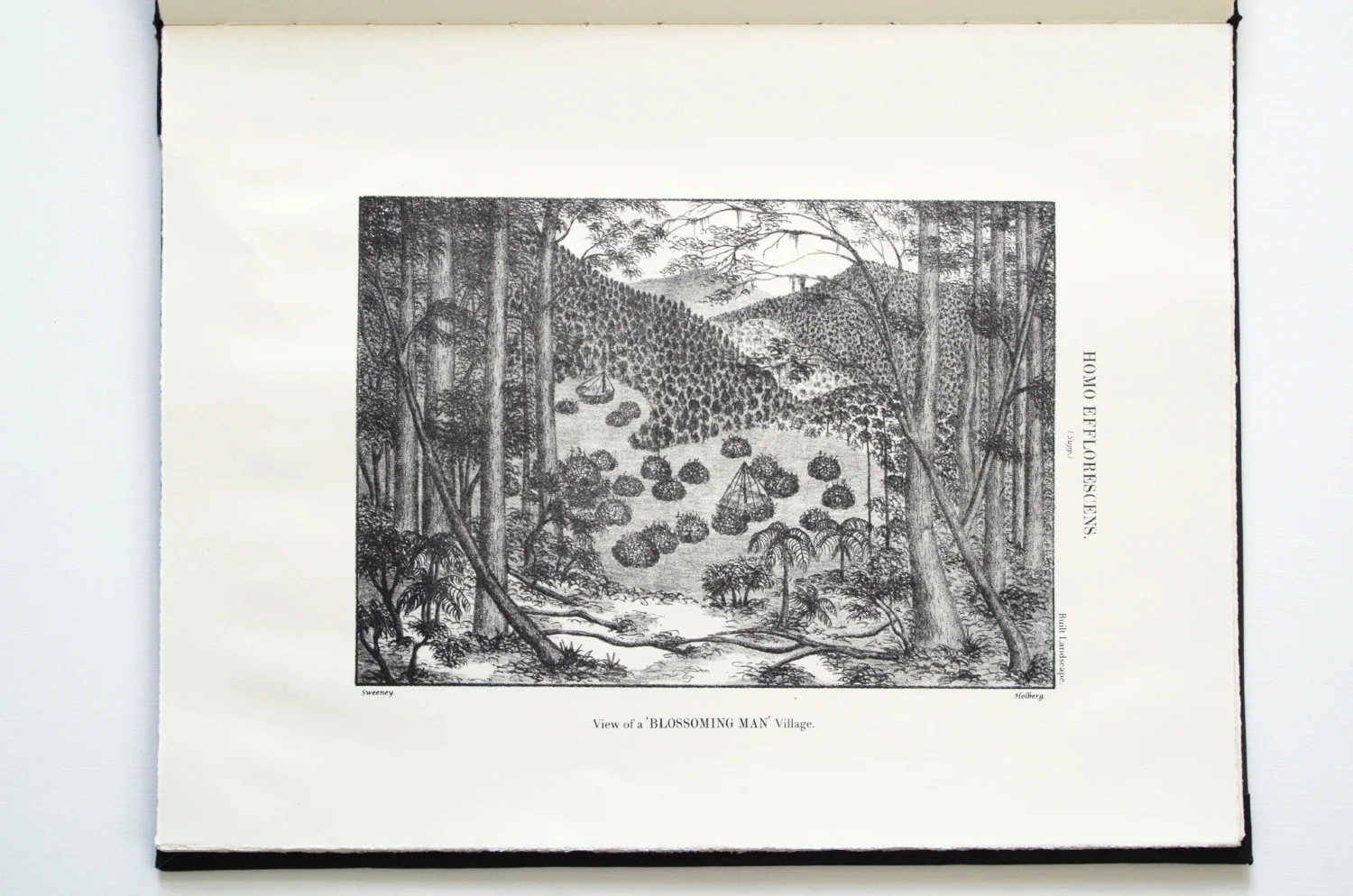 lebigre-h-e-book10a.JPG