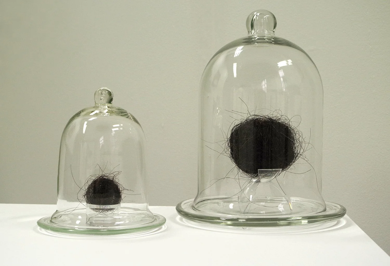 Hair Objects of Homo Efflorescens