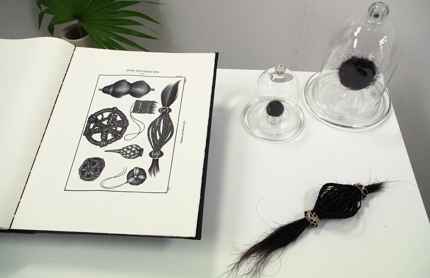 Hair Objects and Book 'Homo efflorescens: Their Species, Customs, and Character.'