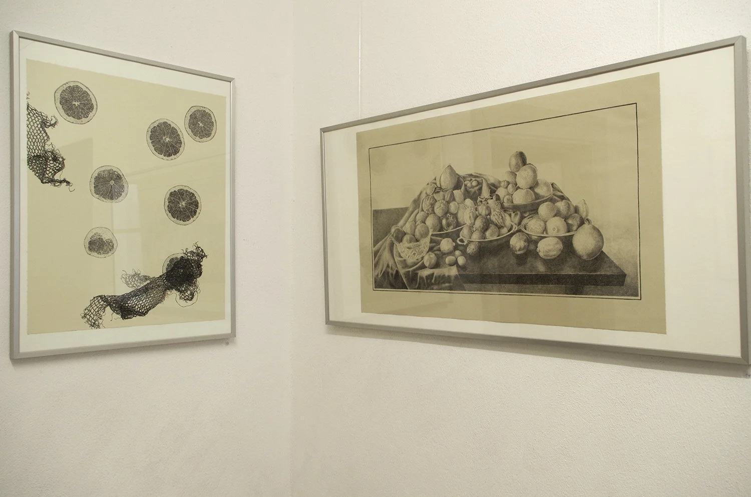 Le Bigre - greatcitrusextinction11.JPG