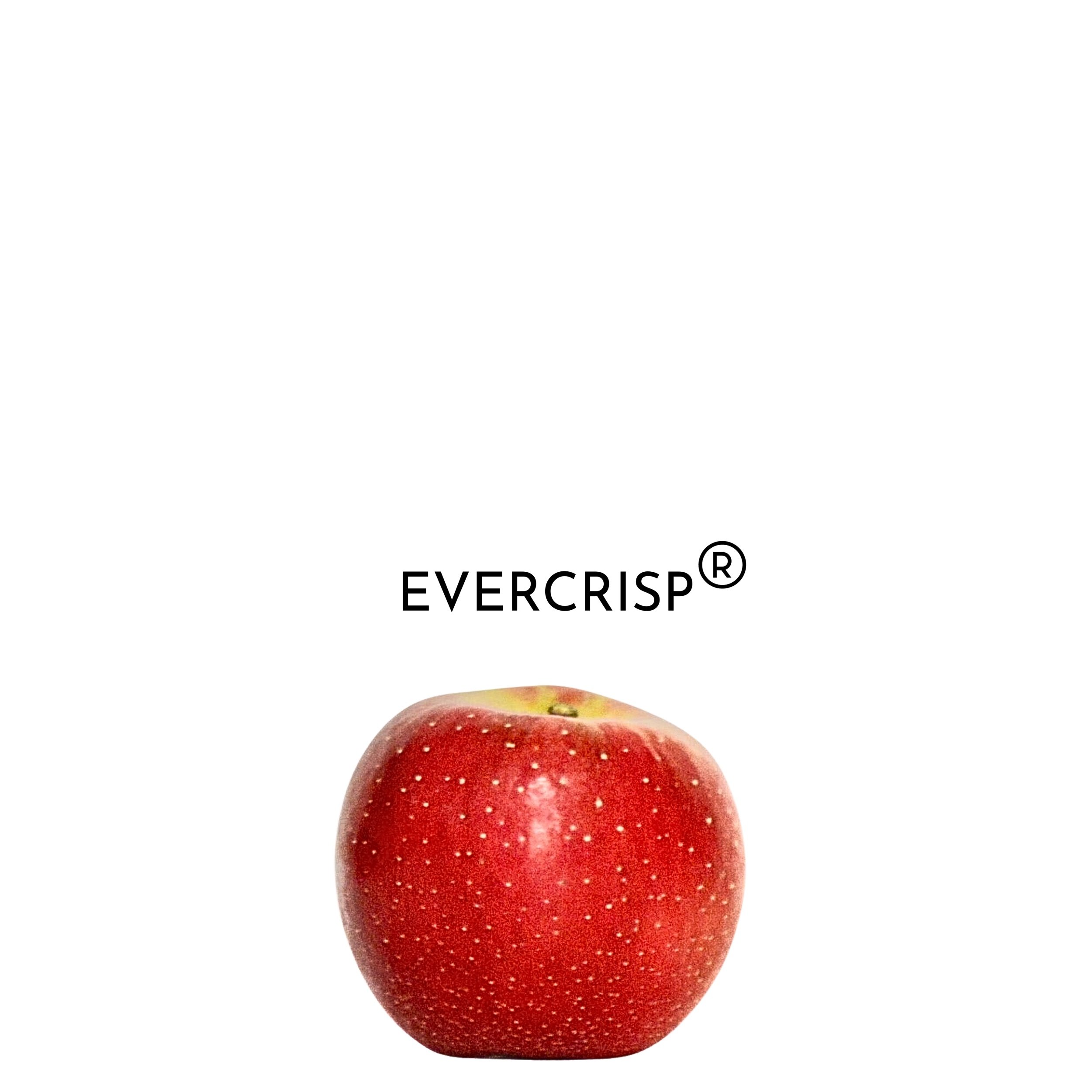 1.jpeg