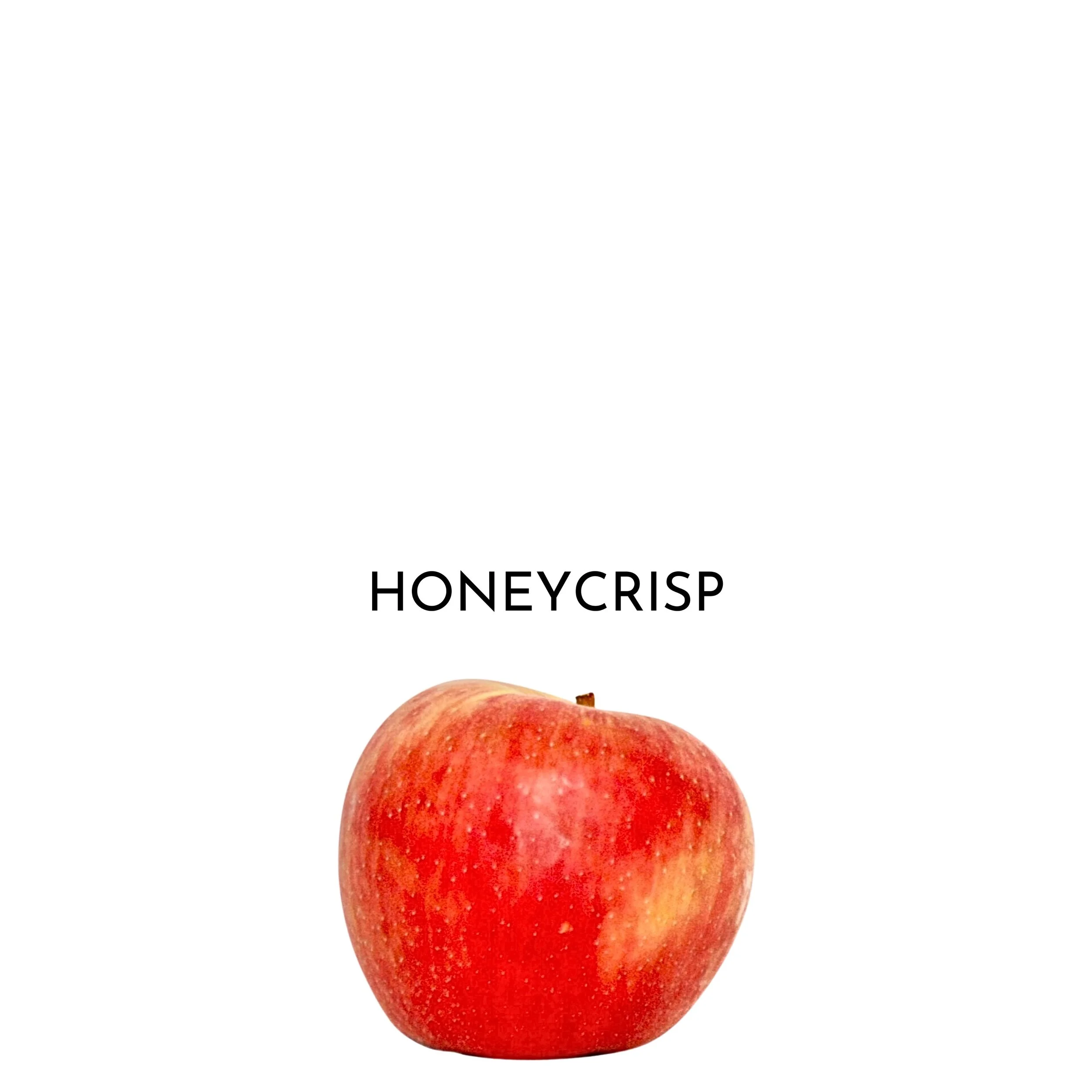 16.jpeg