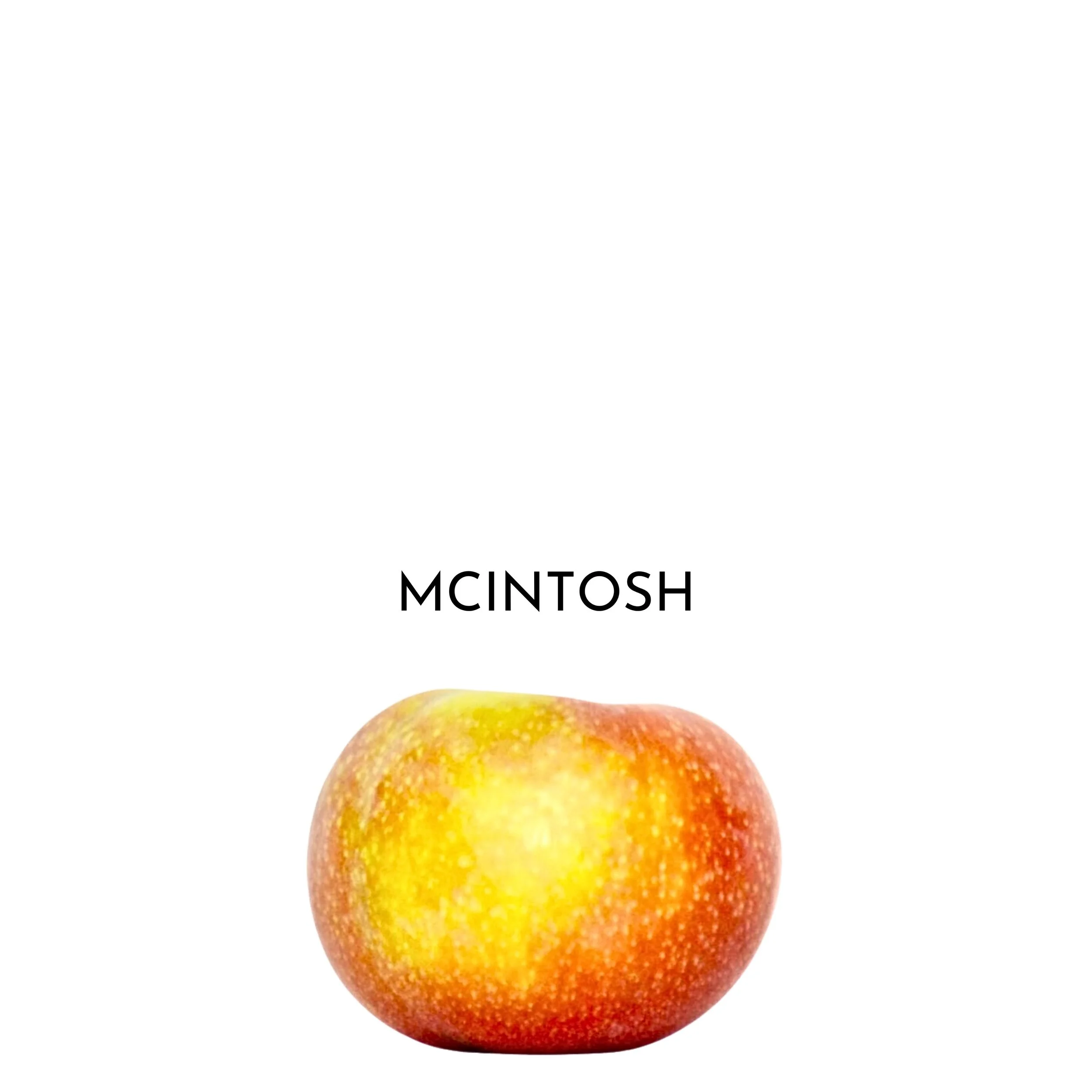 10.jpeg
