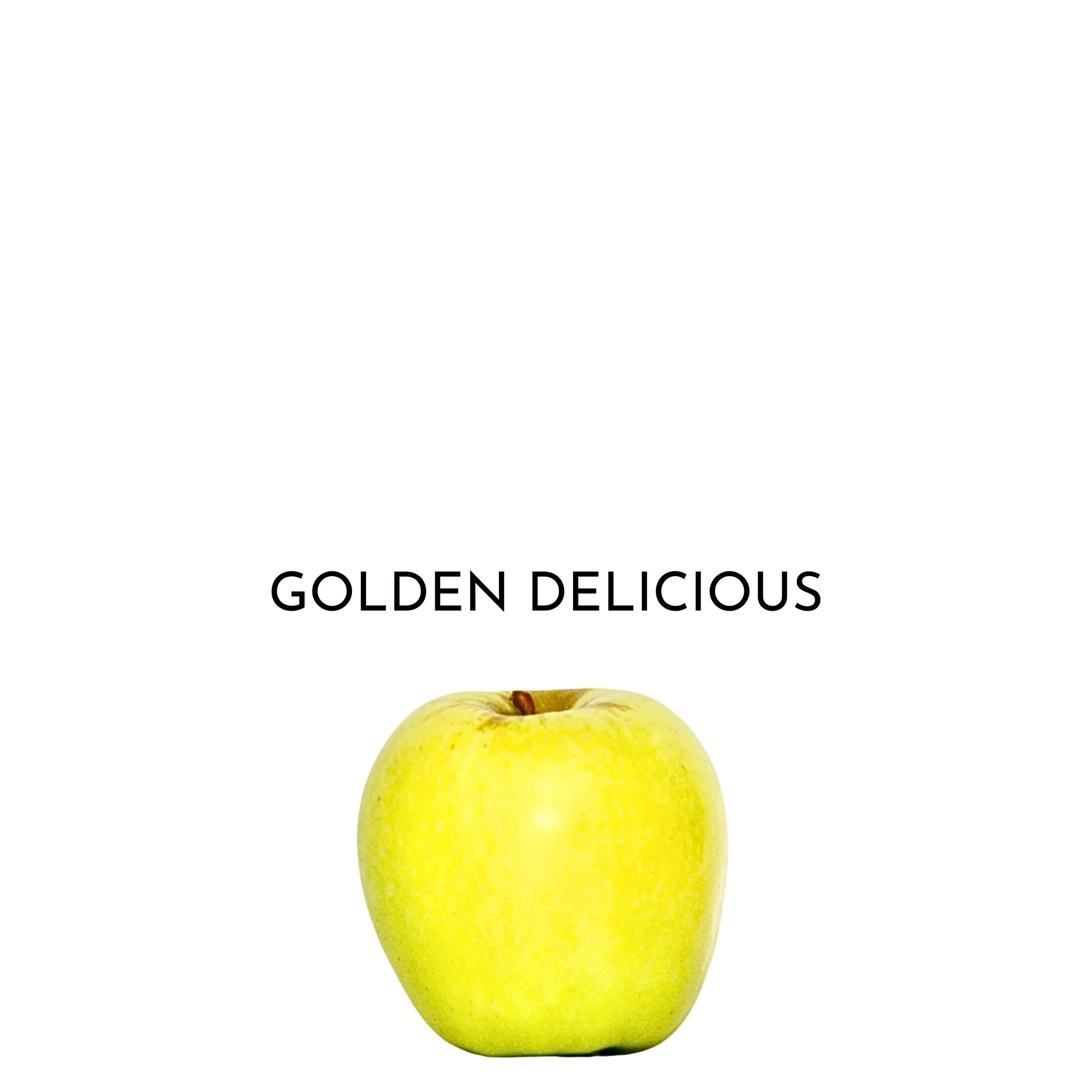 12.jpeg