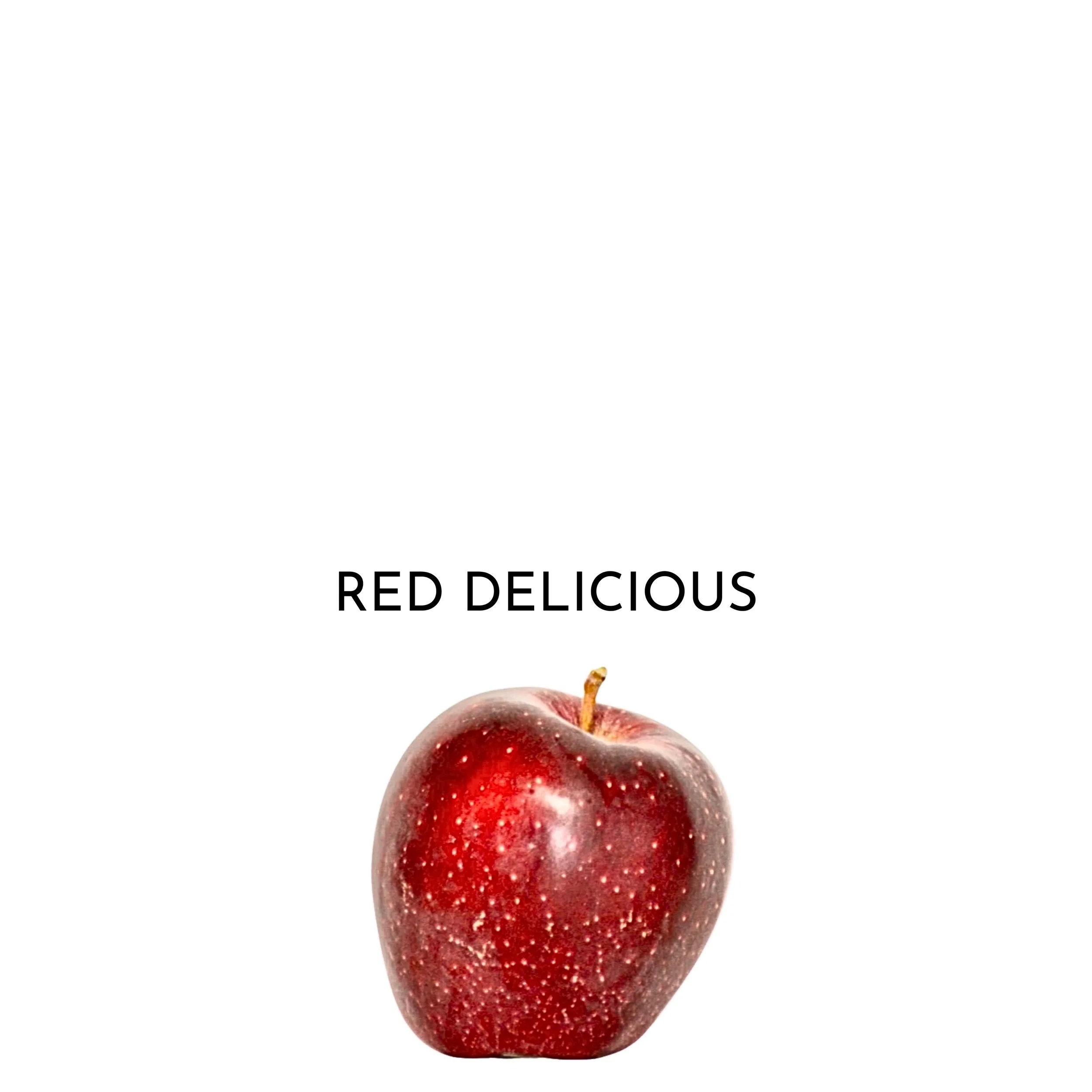 21.jpeg