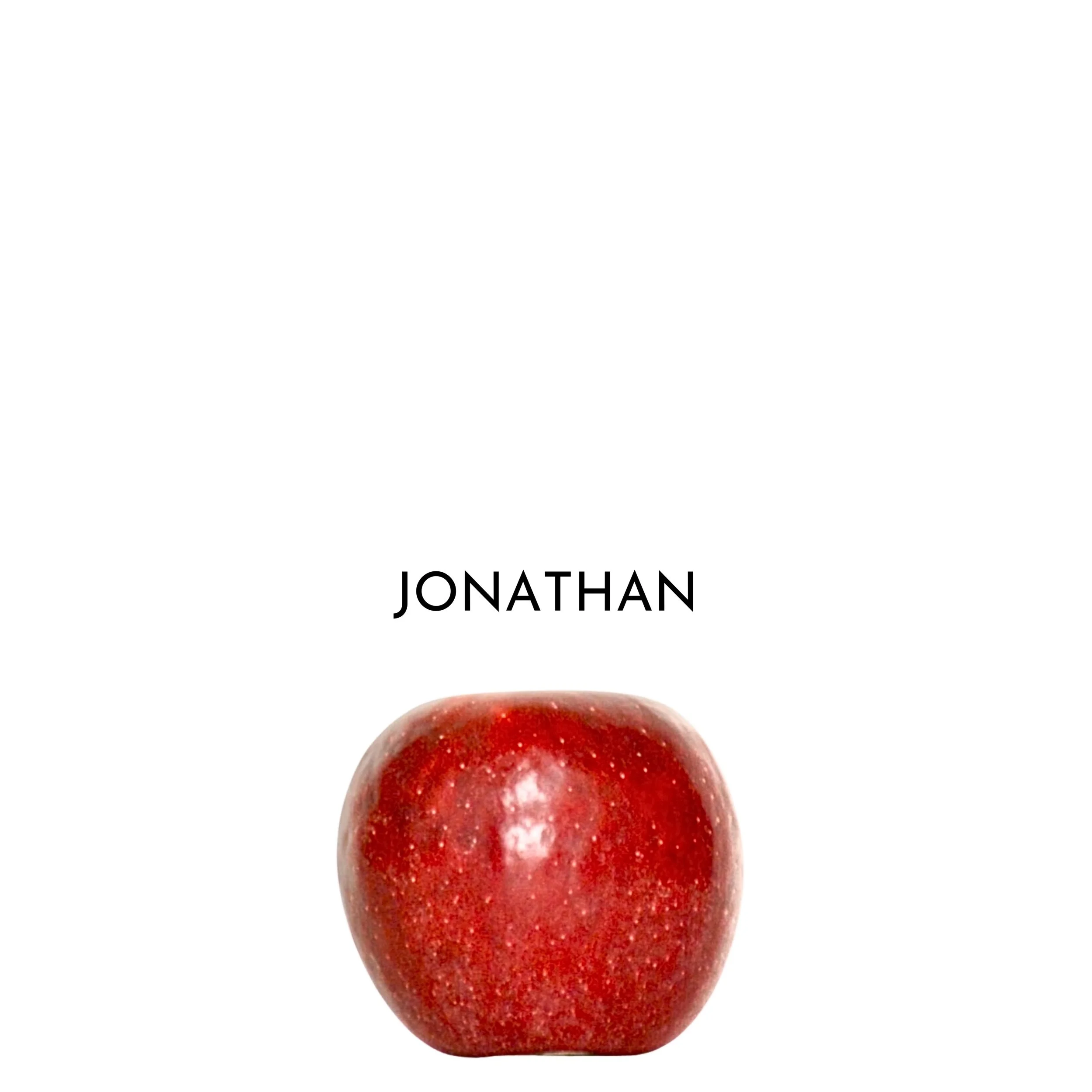 18.jpeg