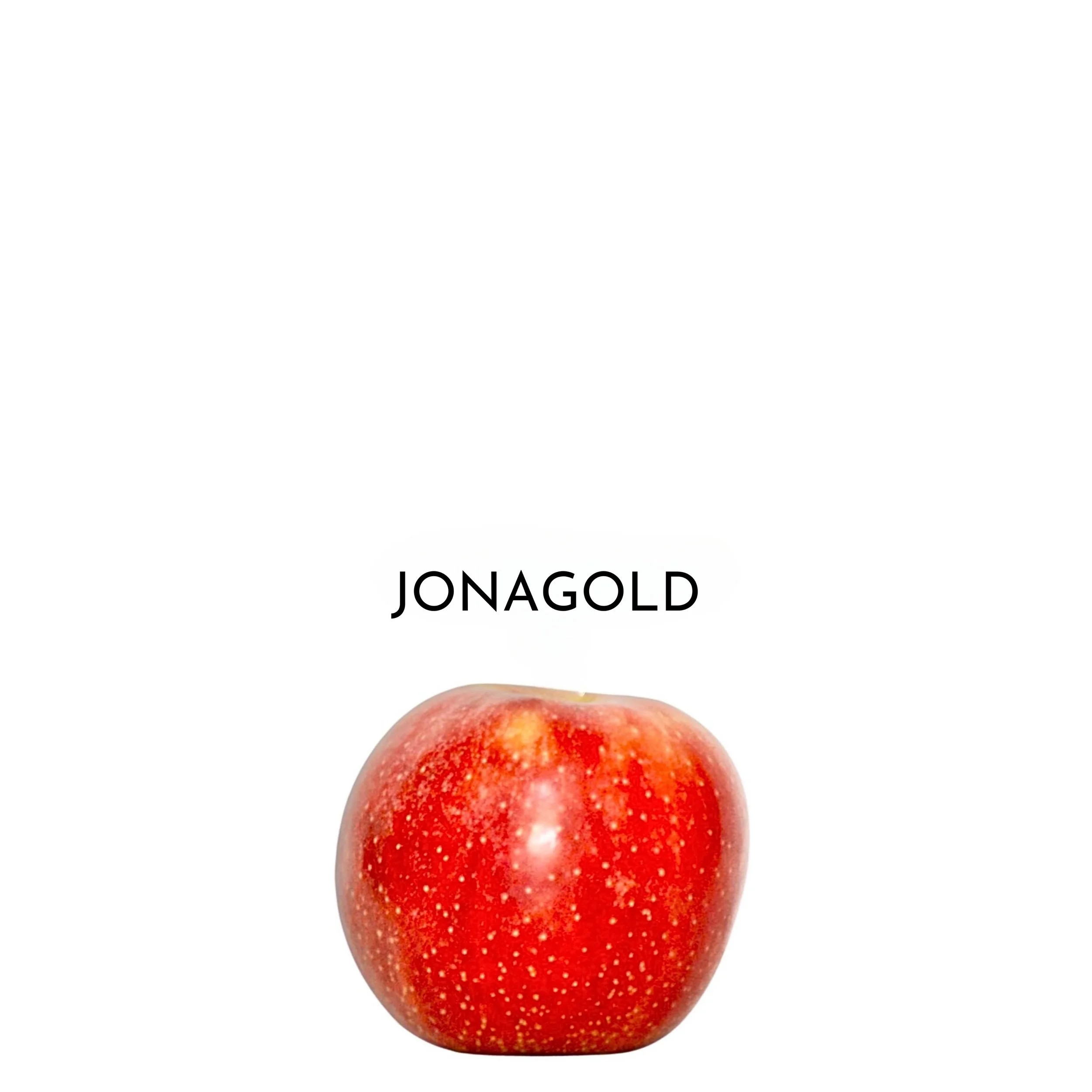 17.jpeg