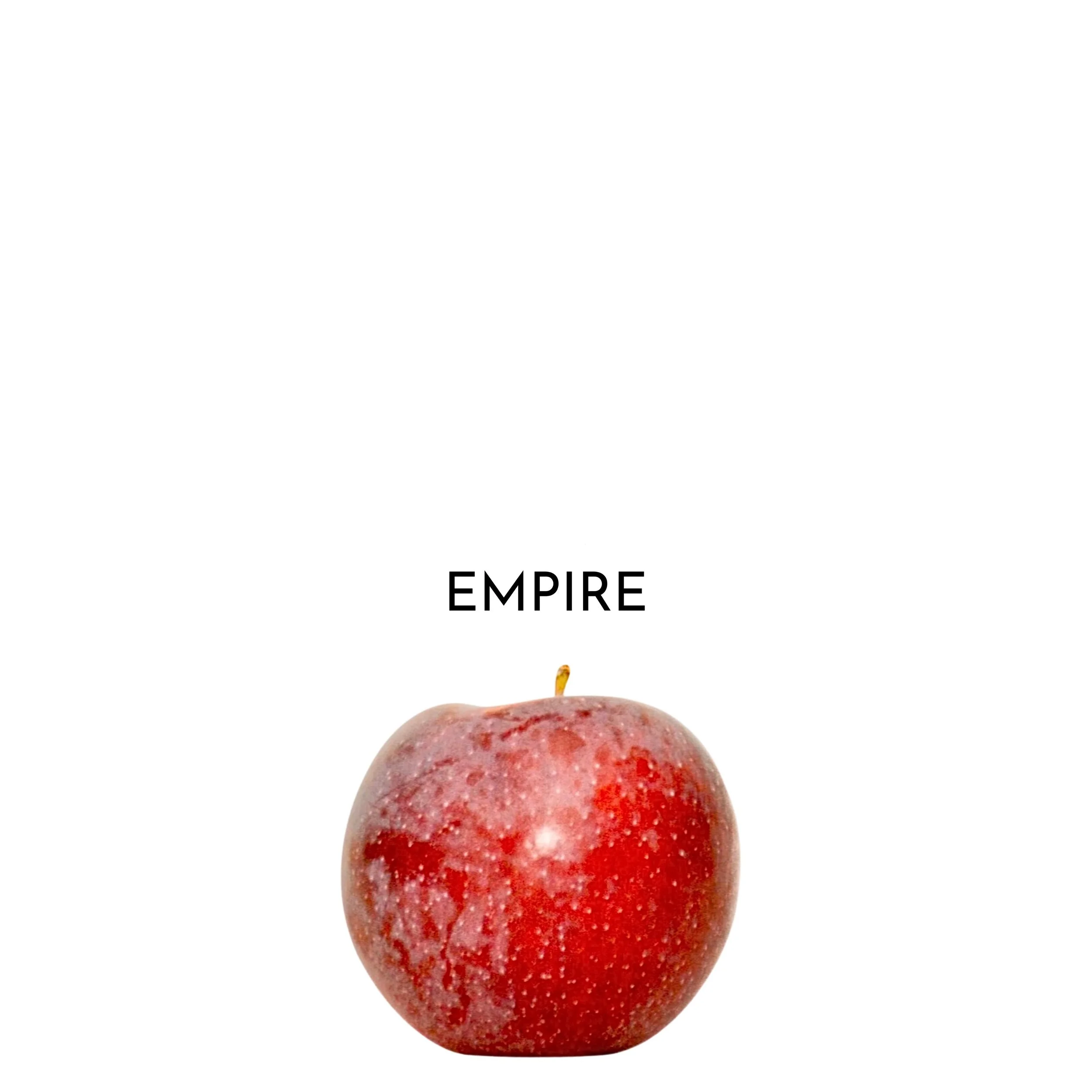 19.jpeg